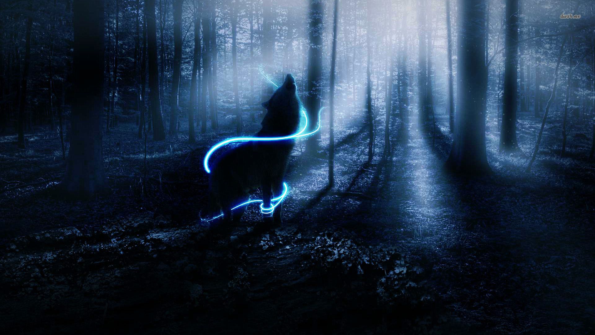 Wolf Wolves Fantasy Forest Bokeh Trees Night Mood Wallpaper In The Woods HD Wallpaper