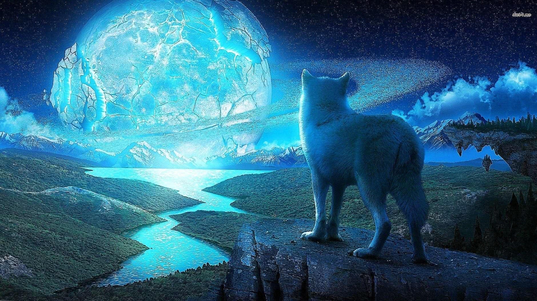 Wolf And Moon Wallpaper HD