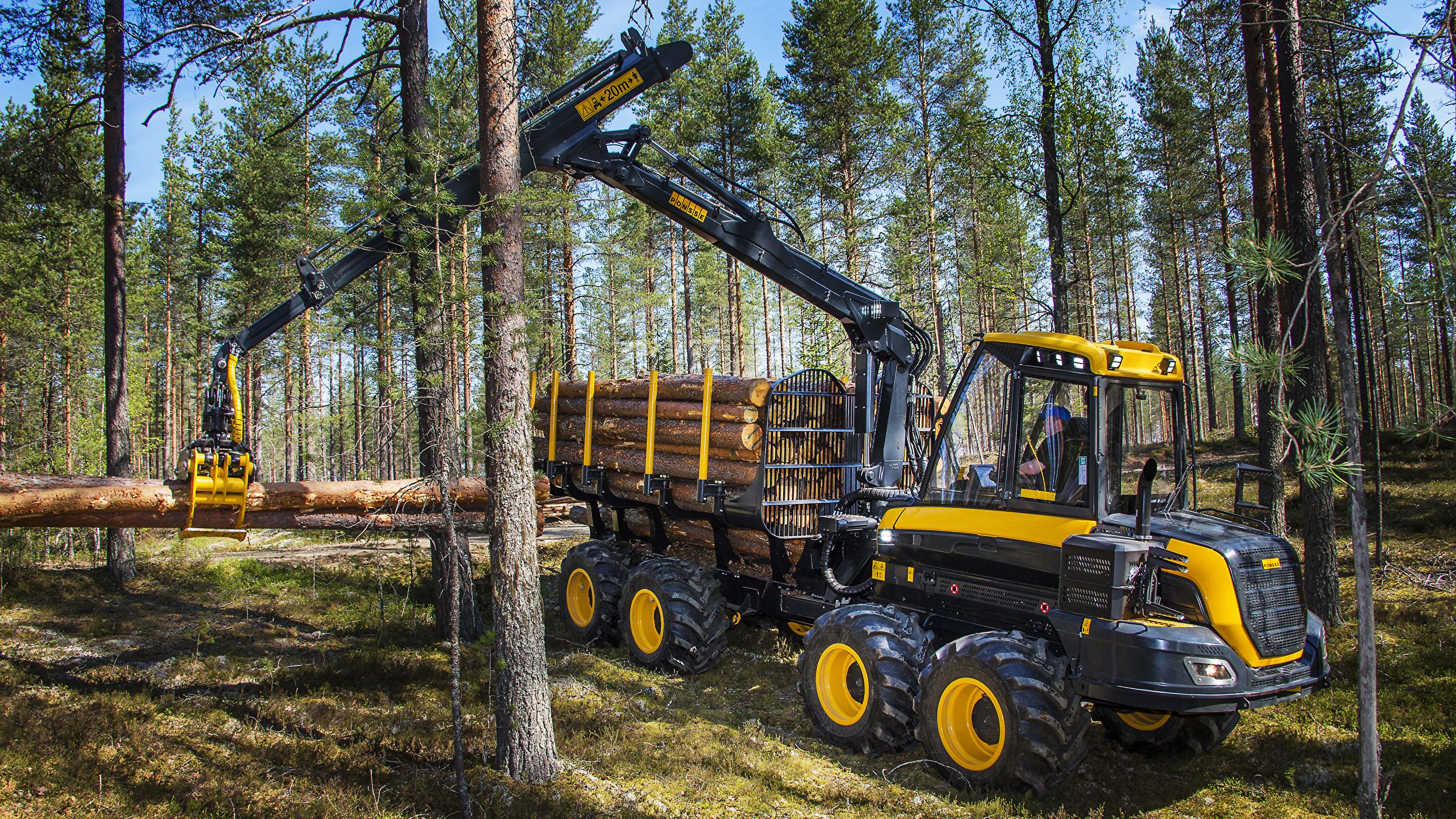 Forestry Wallpapers - Wallpaper Cave