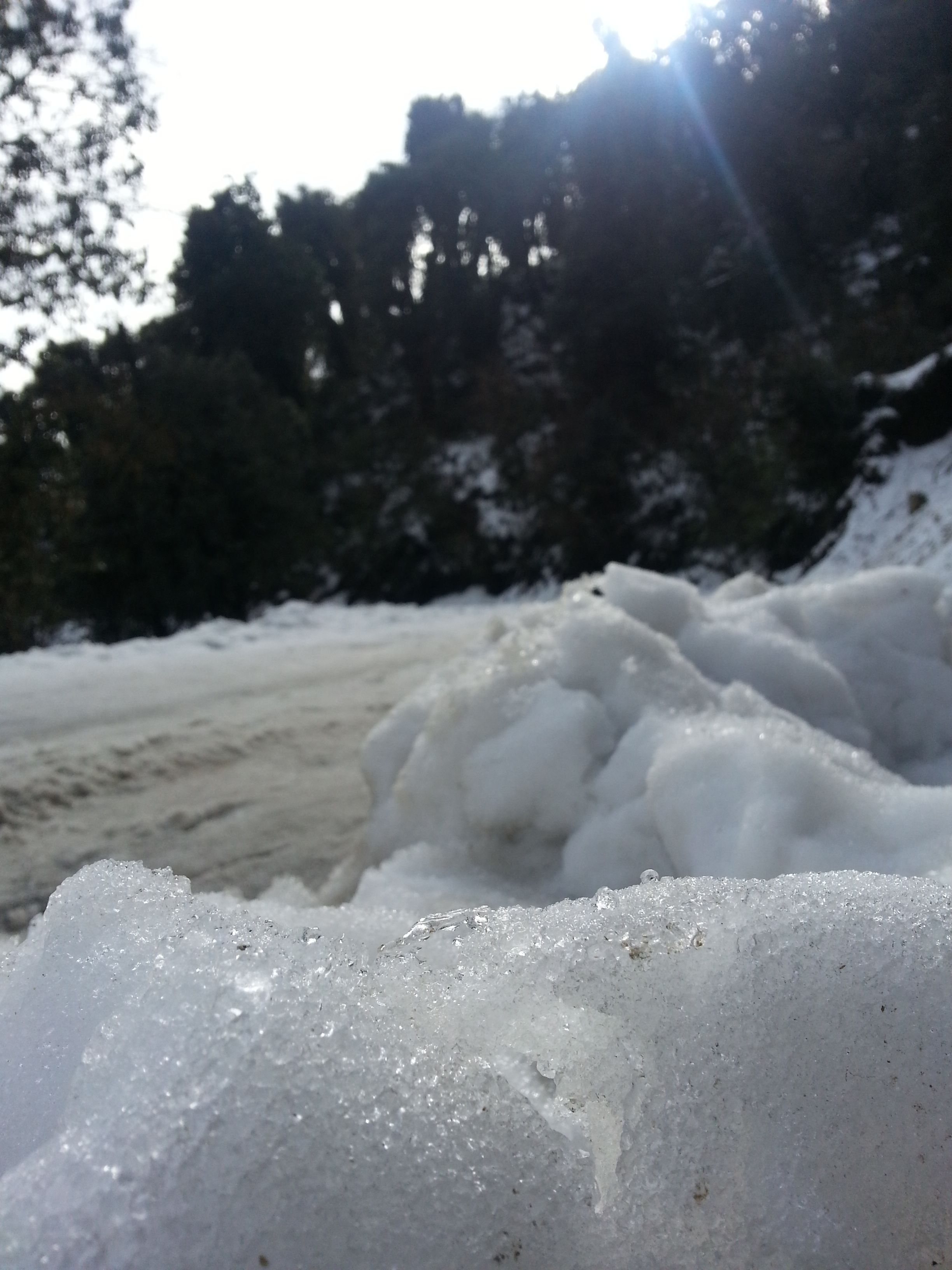 Cool Wallpaper from Mayodia, Arunachal Pradesh