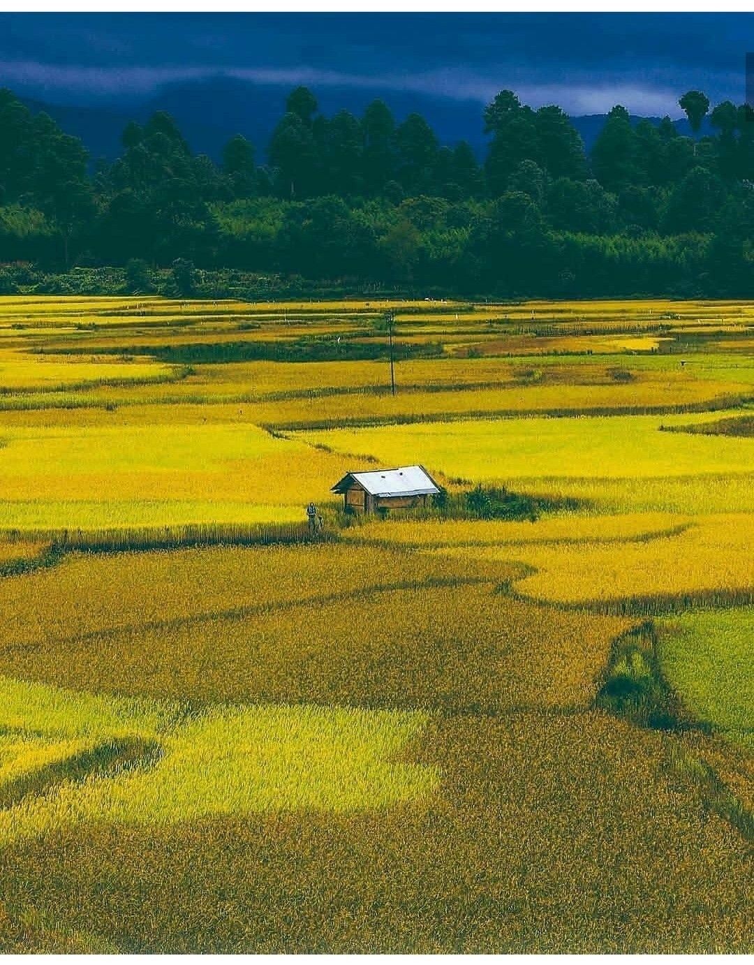 Ziro Arunachal Pradesh. Archaeological survey of india, Arunachal pradesh, World heritage sites