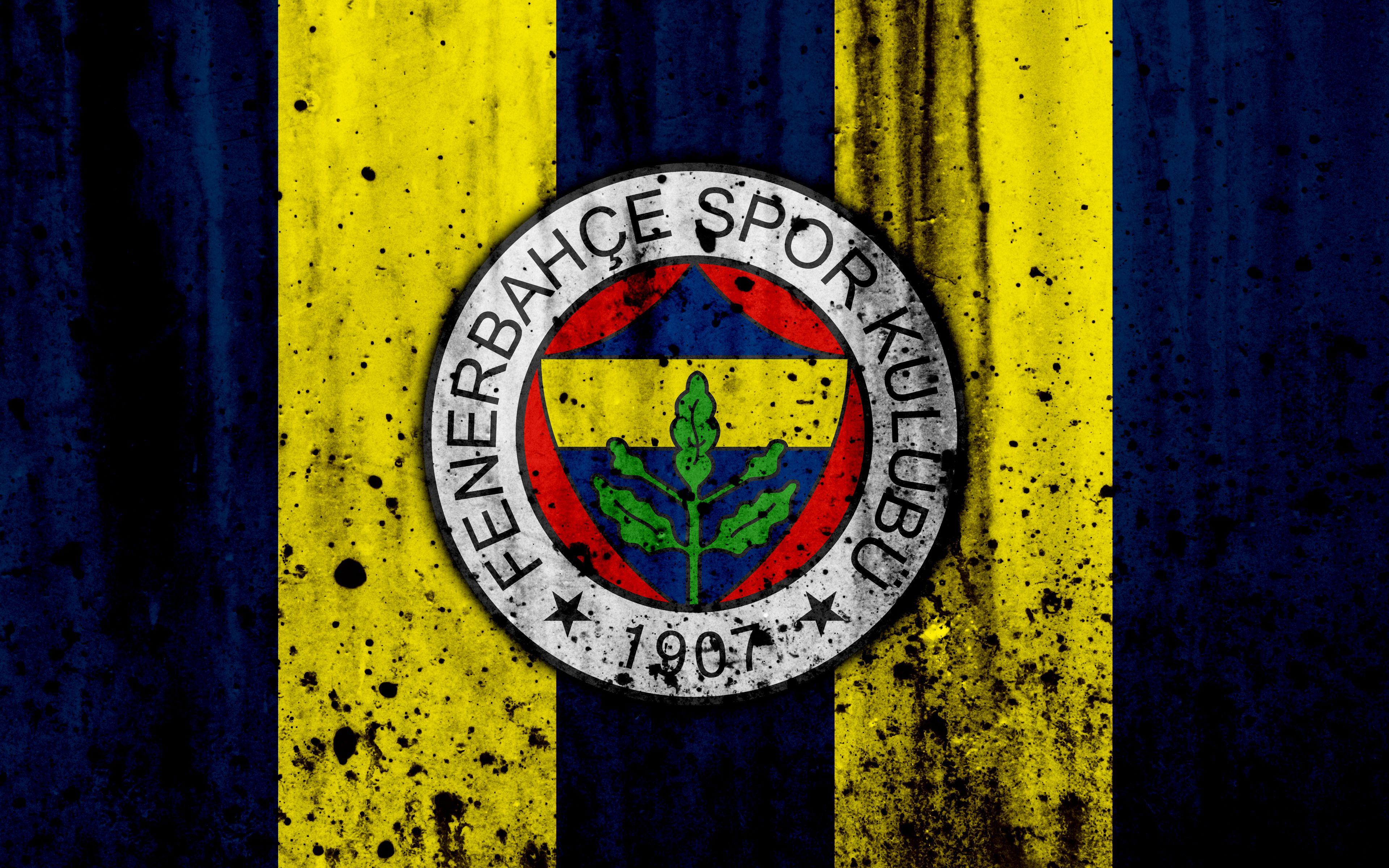 Fenerbahçe S.K Wallpaper 3840×2400