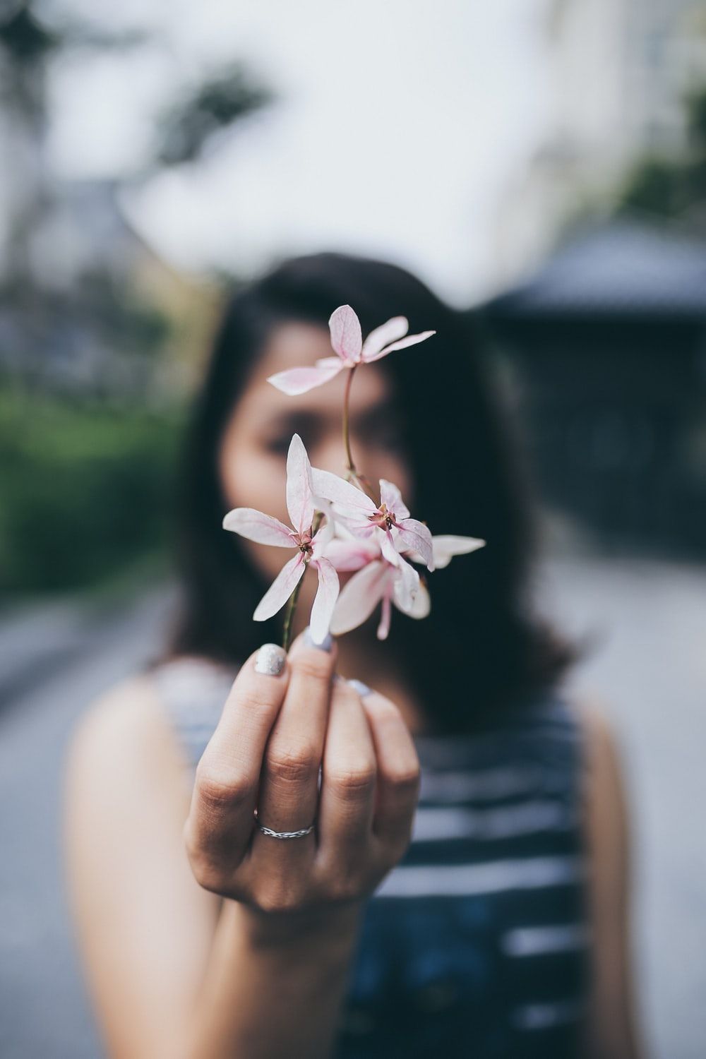 Woman Holding Flower Picture. Download Free Image