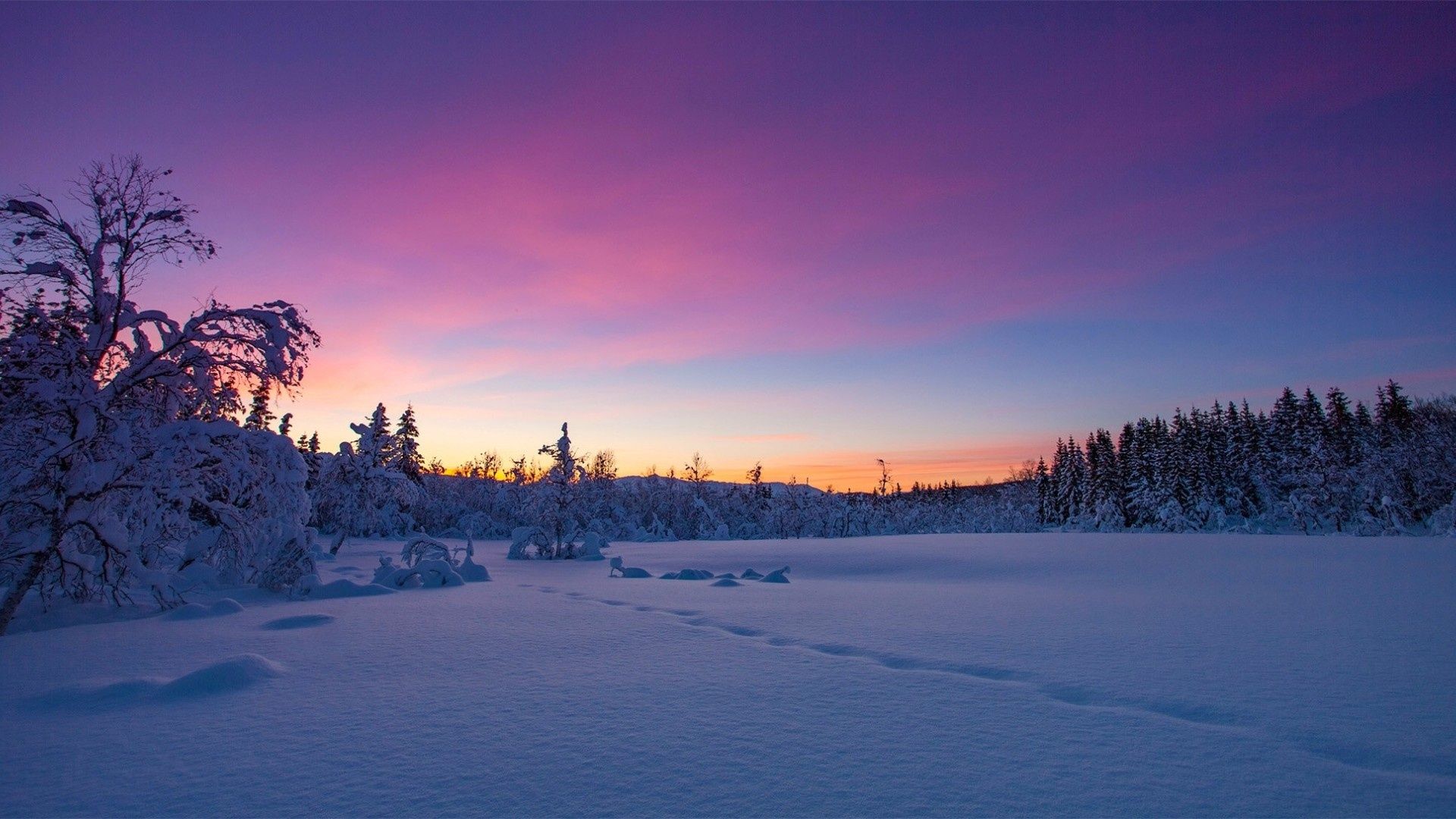 Norway Winter Snow Sunset Trees Wallpaper