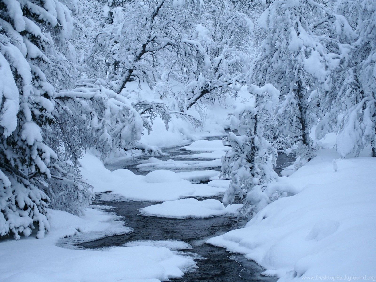 Calm River In The Winter Forest Wallpaper Desktop Background