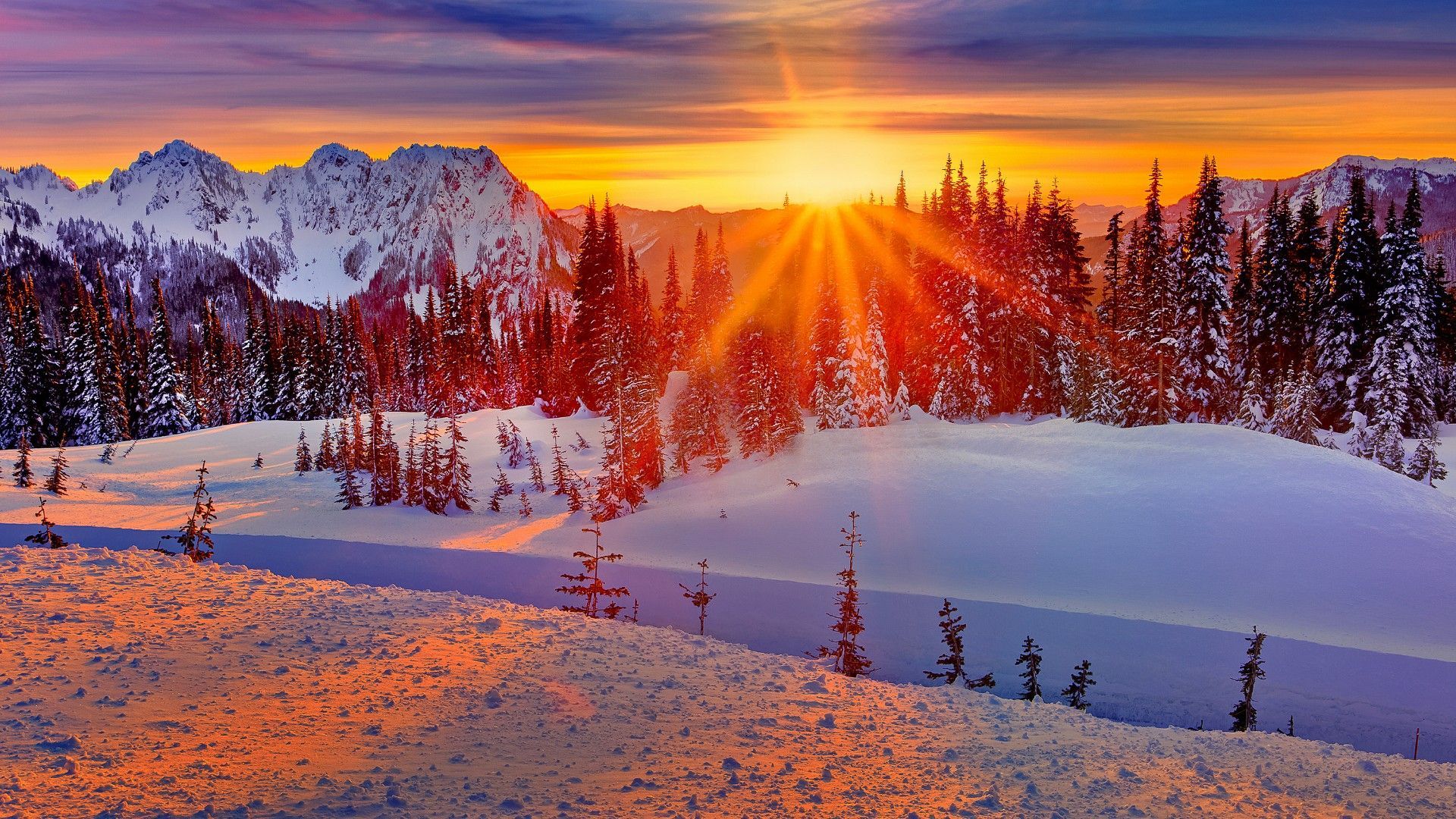 Winter Snow Sunset Wallpaper
