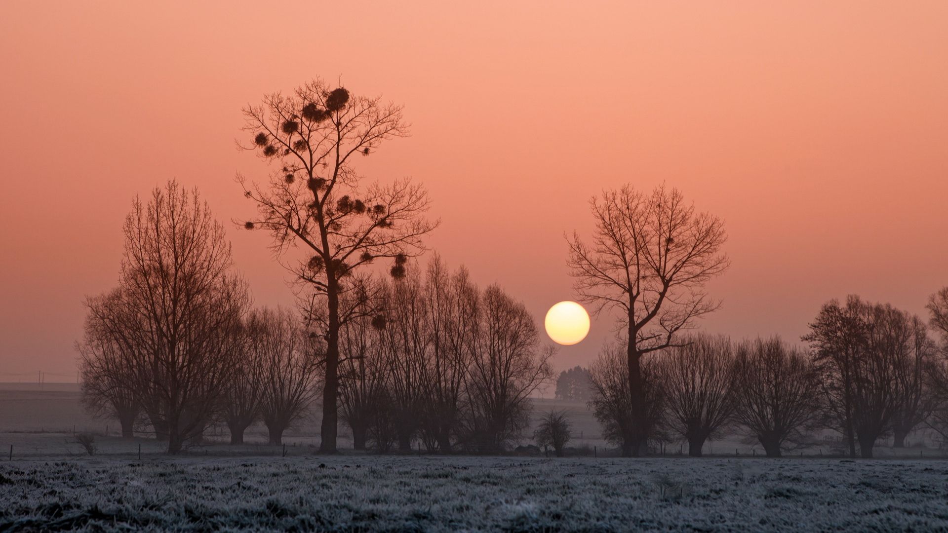 Download 1920x1080 HD Wallpaper poland field winter sunset, Desktop Background HD