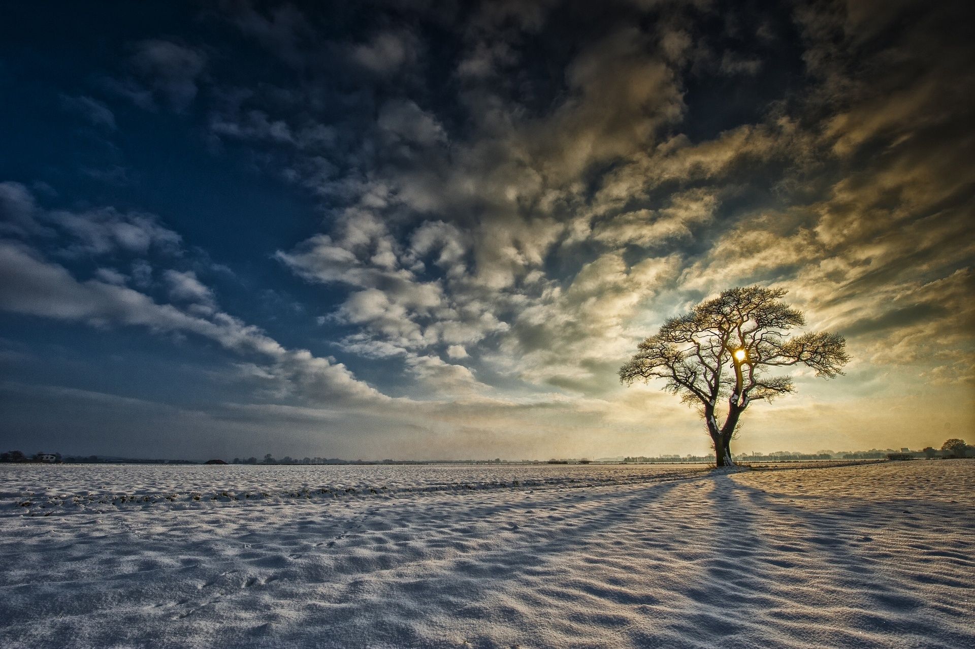 Yorkshire England snow tree sunrise clouds winter wallpapers