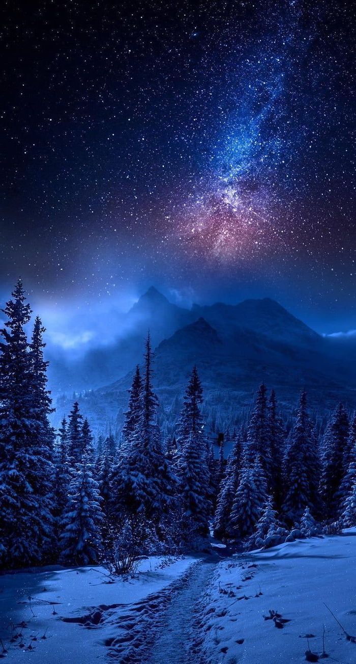 Forest Mountain Landscape Covered With Snow 2k Wallpaper Star Filled Sky Galaxy. Night Sky Wallpaper, Night Sky Photography, IPhone Background Nature
