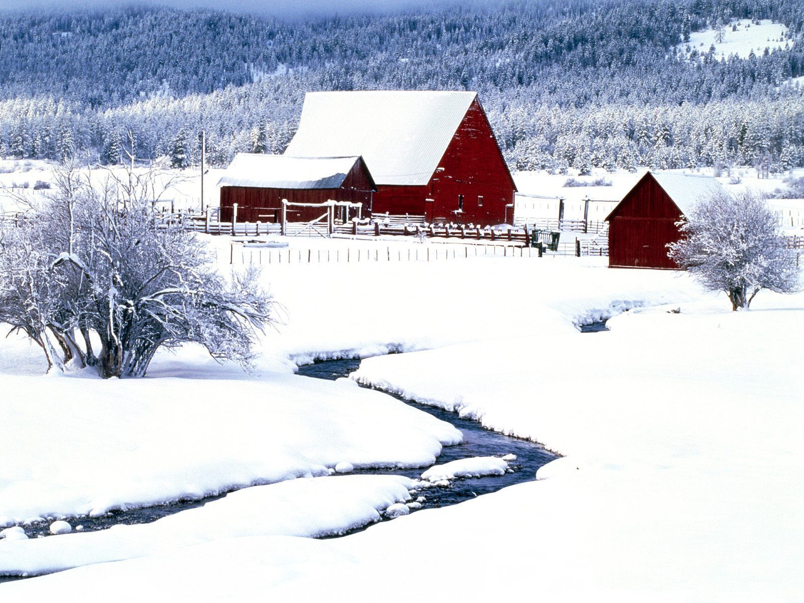 Winter Wallpaper Barn