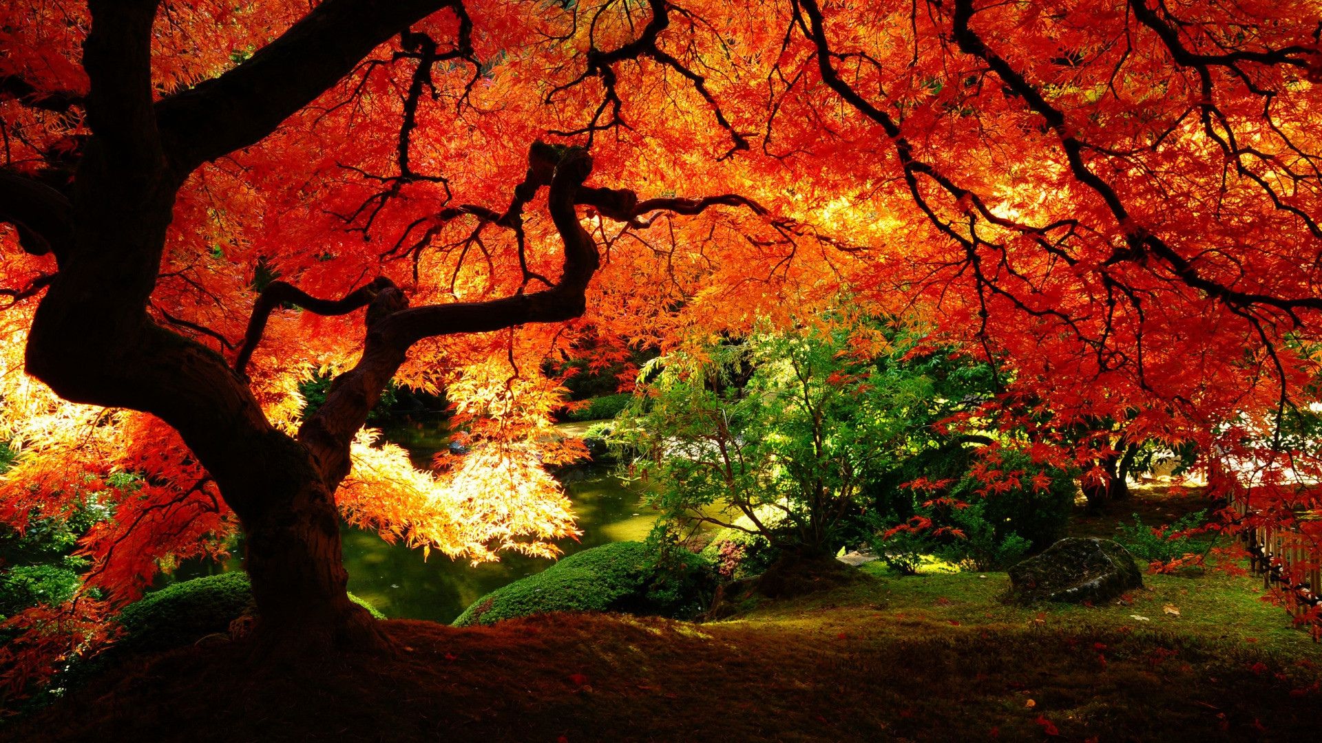 Autumn Scenery Wallpaper Desktop