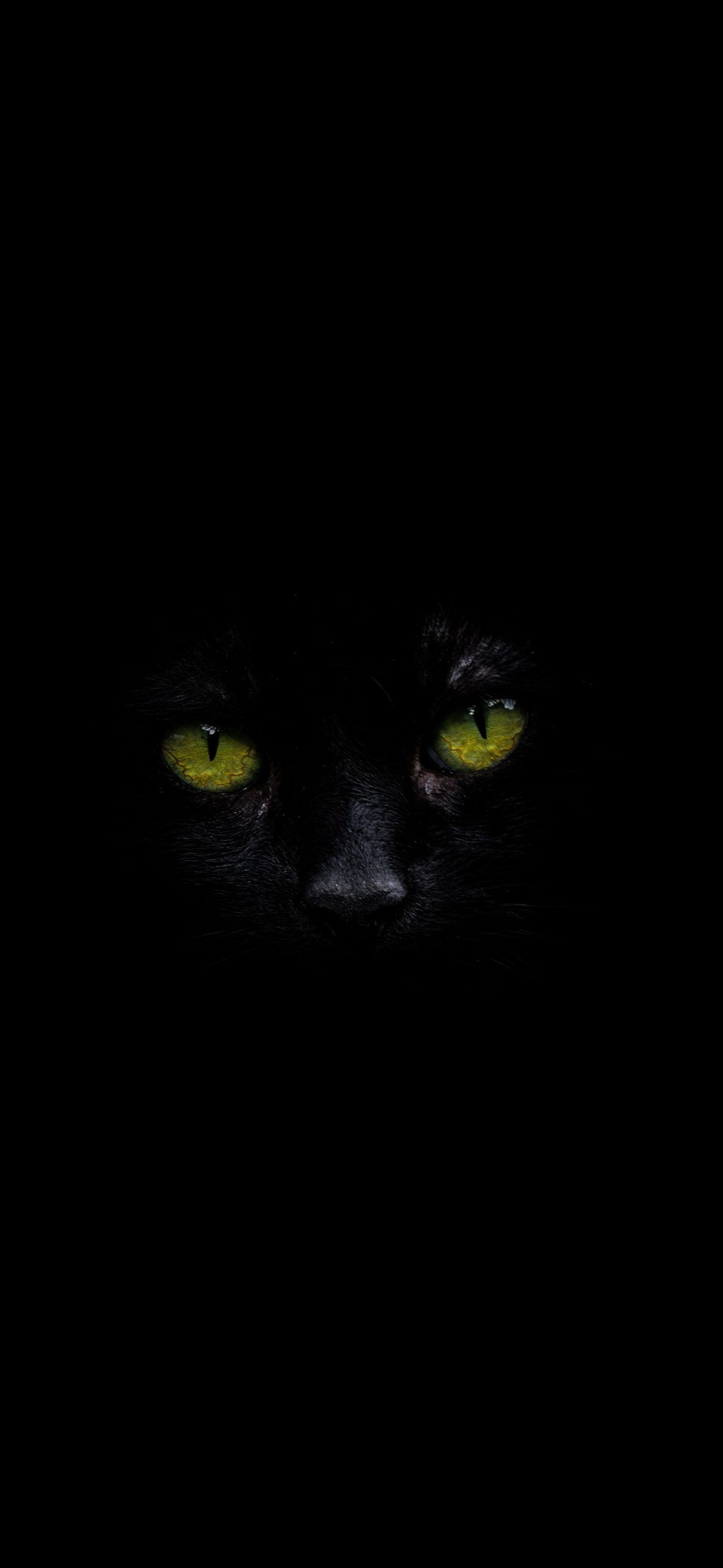 Black cat with green eyes. Eyes wallpaper, Animal tattoos, Green eyes