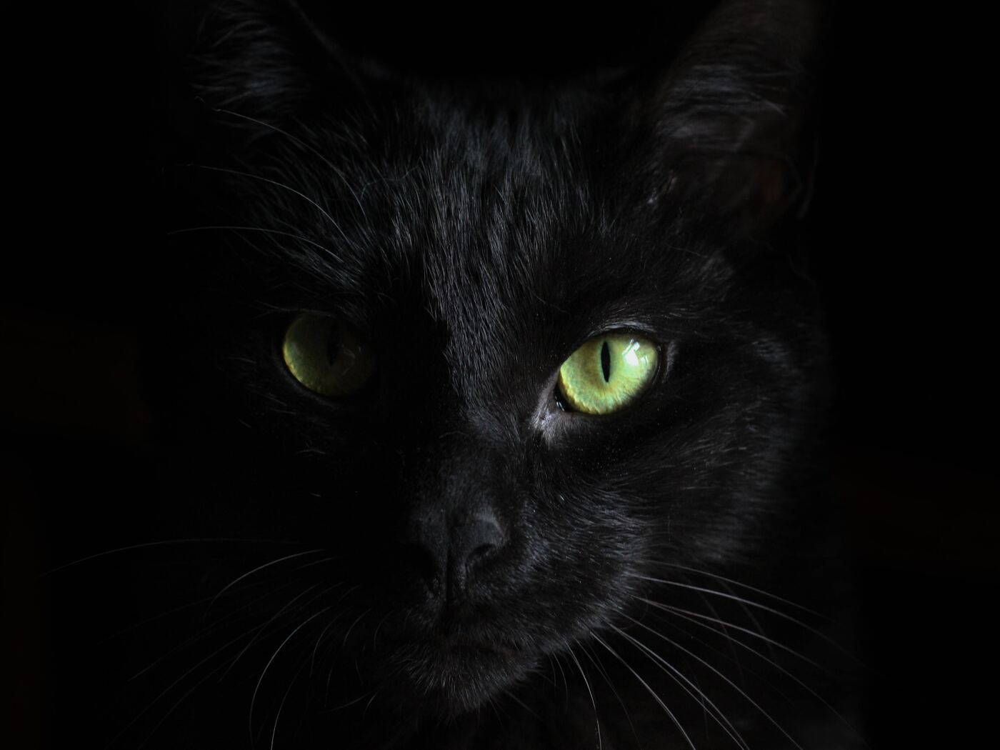 Black Cat Green Eyes 1400x1050 Resolution HD 4k Wallpaper, Image, Background, Photo and Picture