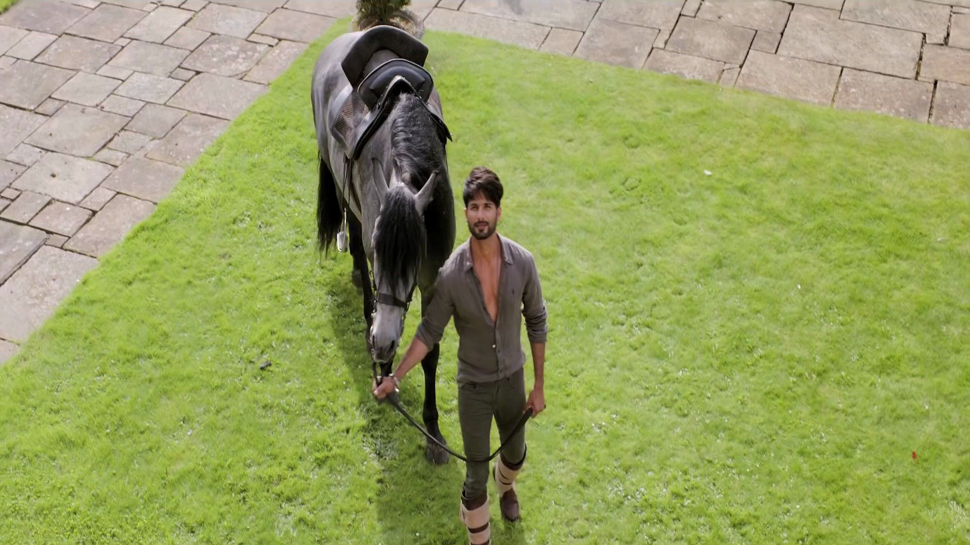 Star Cast Shahid Kapoor with Horse in Shaandaar Hindi Film HD Wallpaper
