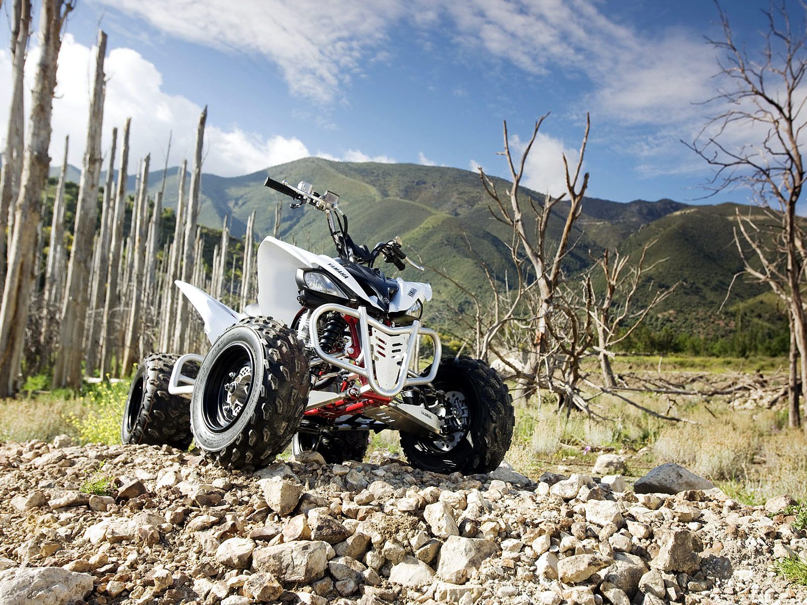 Raptor 250 Wallpaper. Velociraptor Wallpaper, Raptor Dinosaur Wallpaper And T Rex Velociraptor Wallpaper