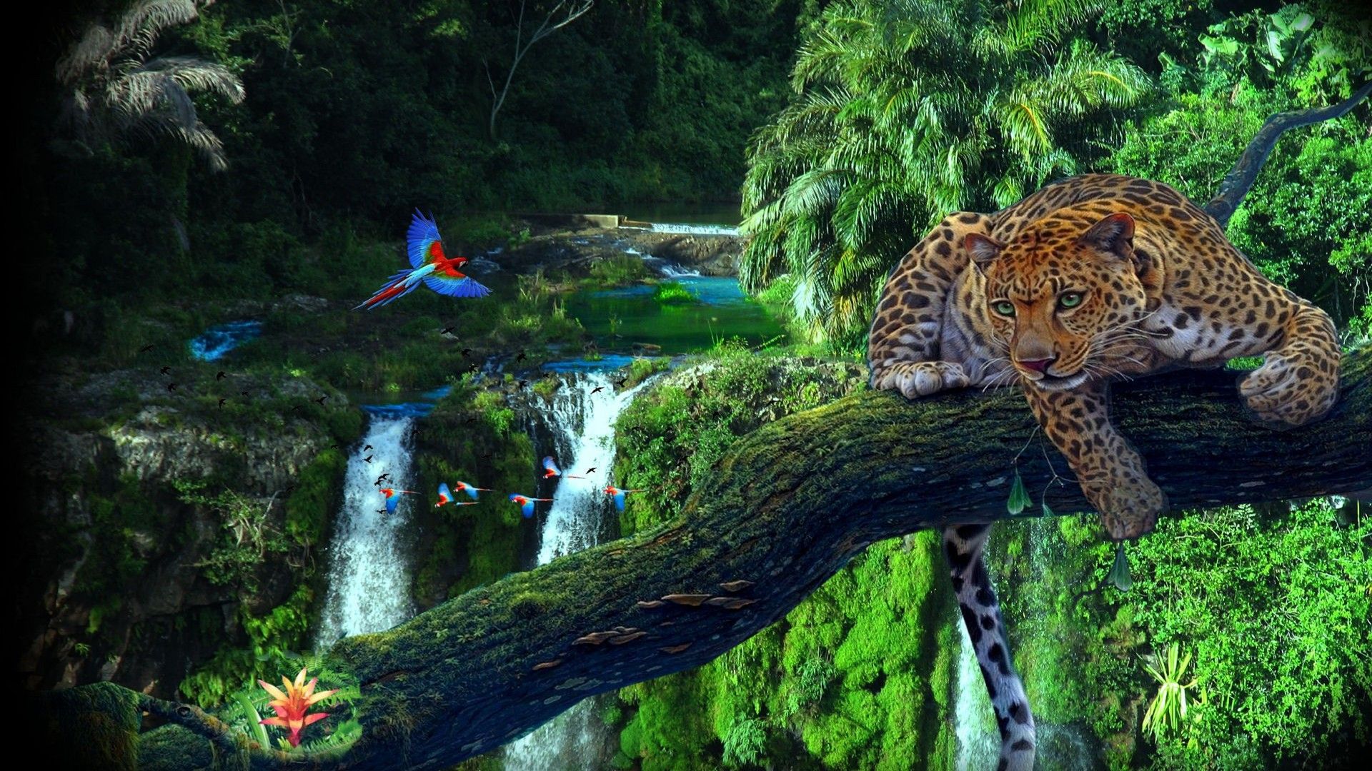 Amazon Jungle Tree Leopard Parrots Wallpaper HD 3840x2400, Wallpaper13.com