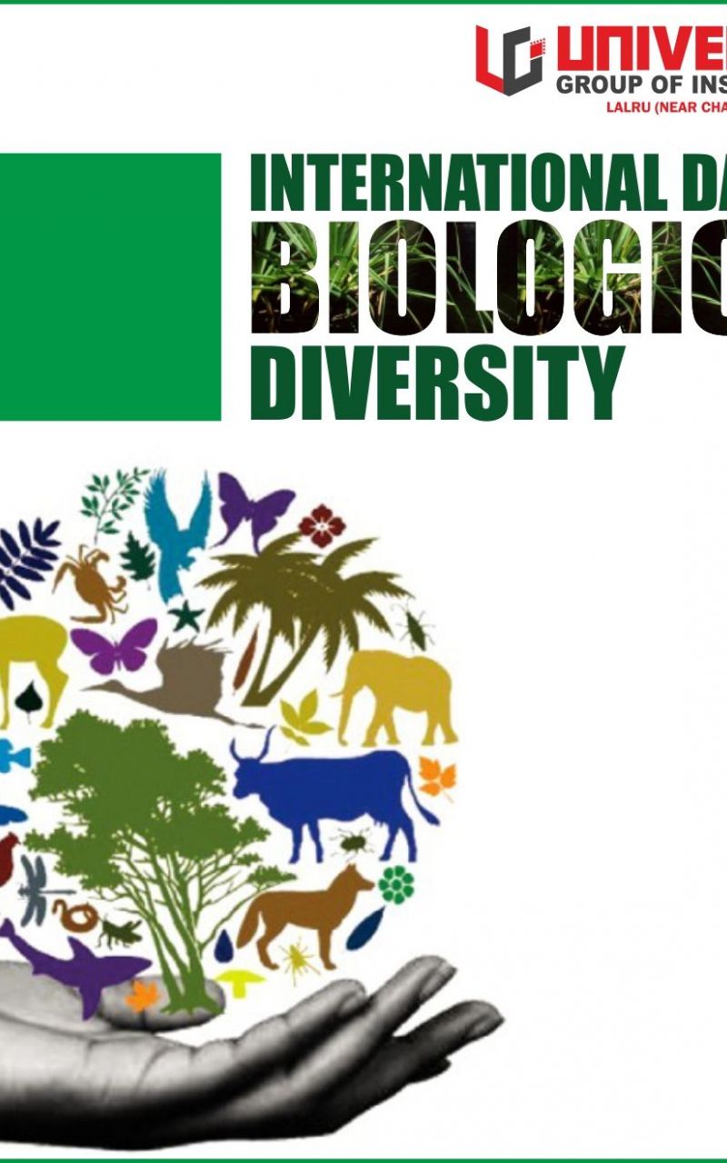 Free download Biodiversity starts in the distant past and it points toward the [1319x1319] for your Desktop, Mobile & Tablet. Explore International Day For Biological Diversity Wallpaper