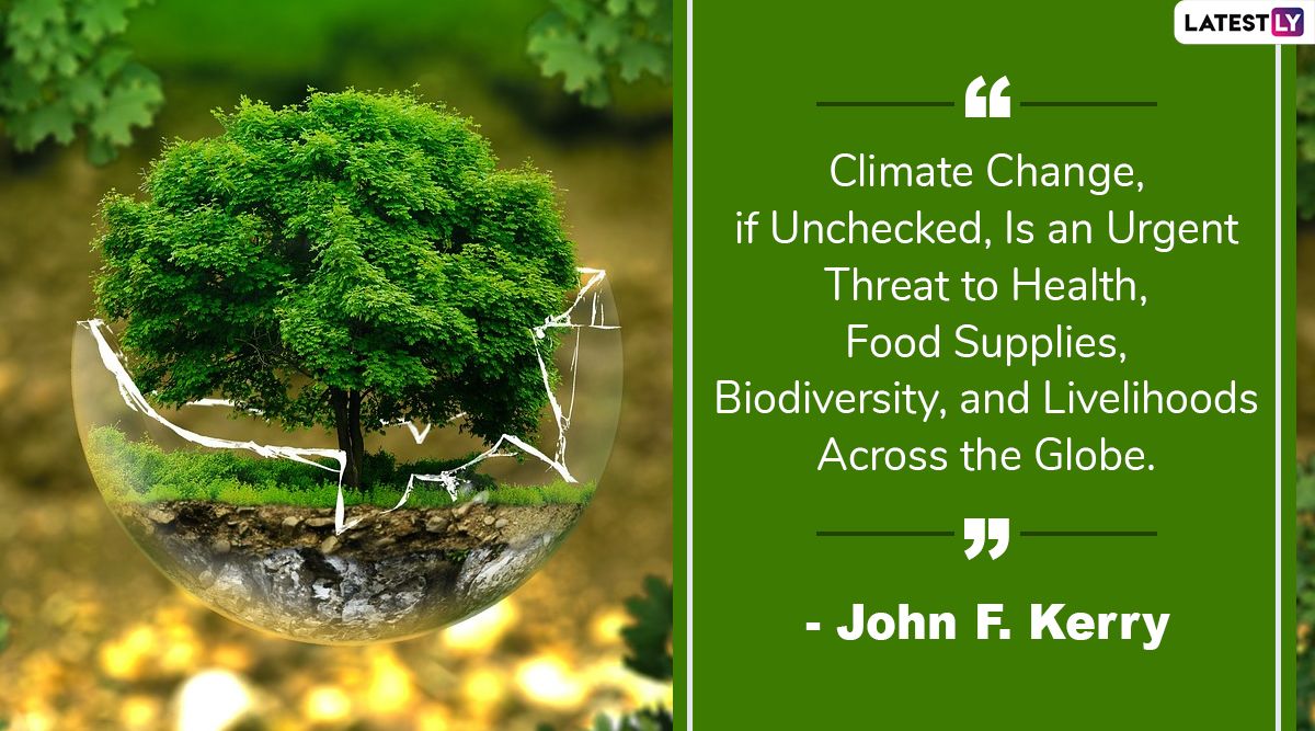 International Day for Biological Diversity 2020 Quotes and HD Image: Beautiful Sayings on Nature That Respects Biodiversity and Its Importance