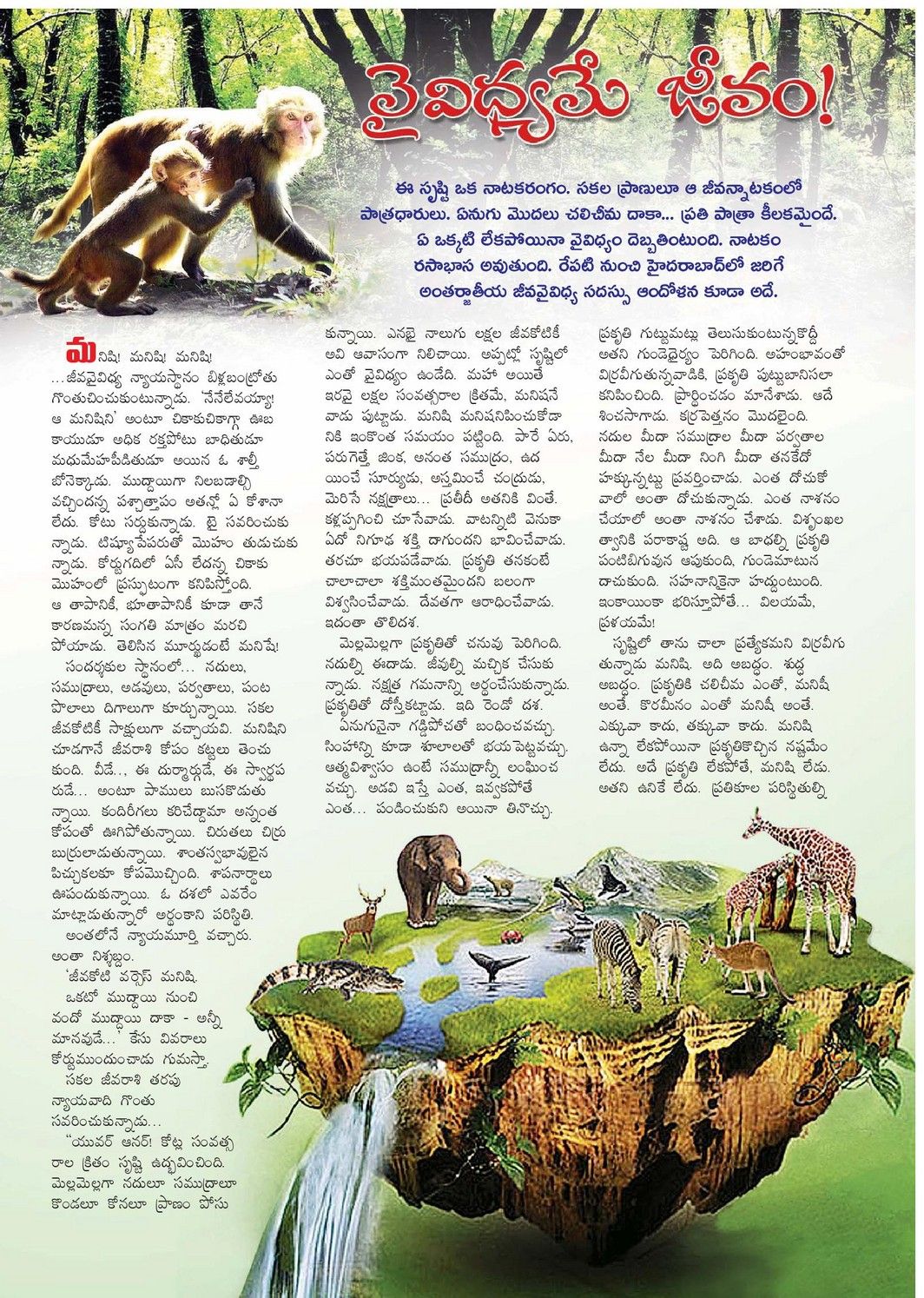 Infotainment, Jobs, Tourism, Telugu Stories, Personality Development: What is Biodiversity? is Biodiversity Important? Biodiversity Wallpaper