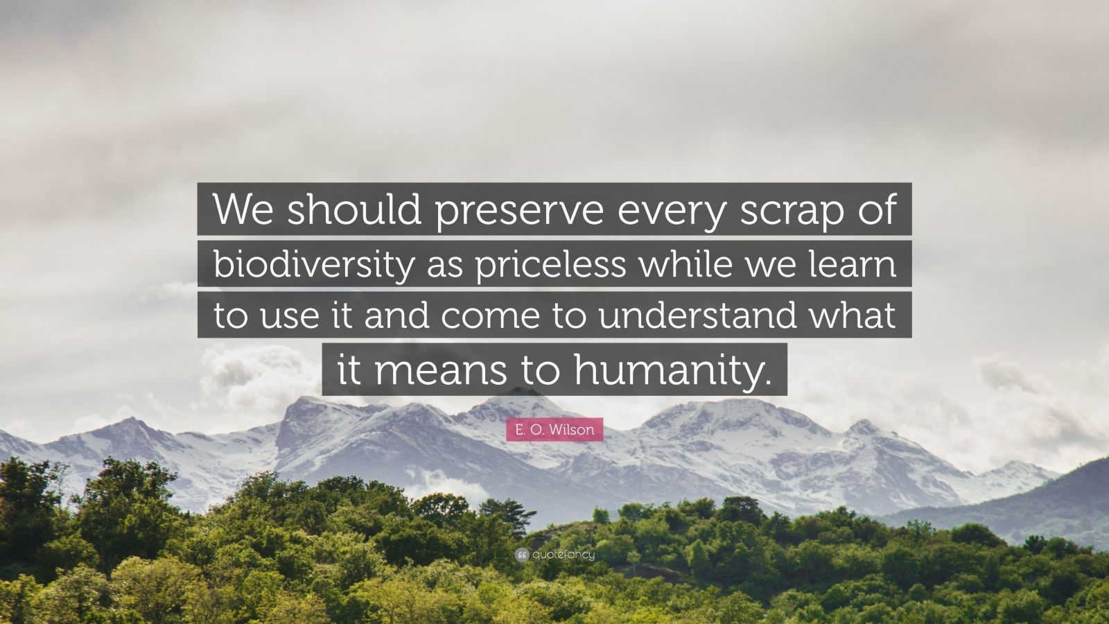 E. O. Wilson Quote: “We should preserve every scrap of biodiversity as priceless while we learn to use it and come to understand what it mean.” (7 wallpaper)