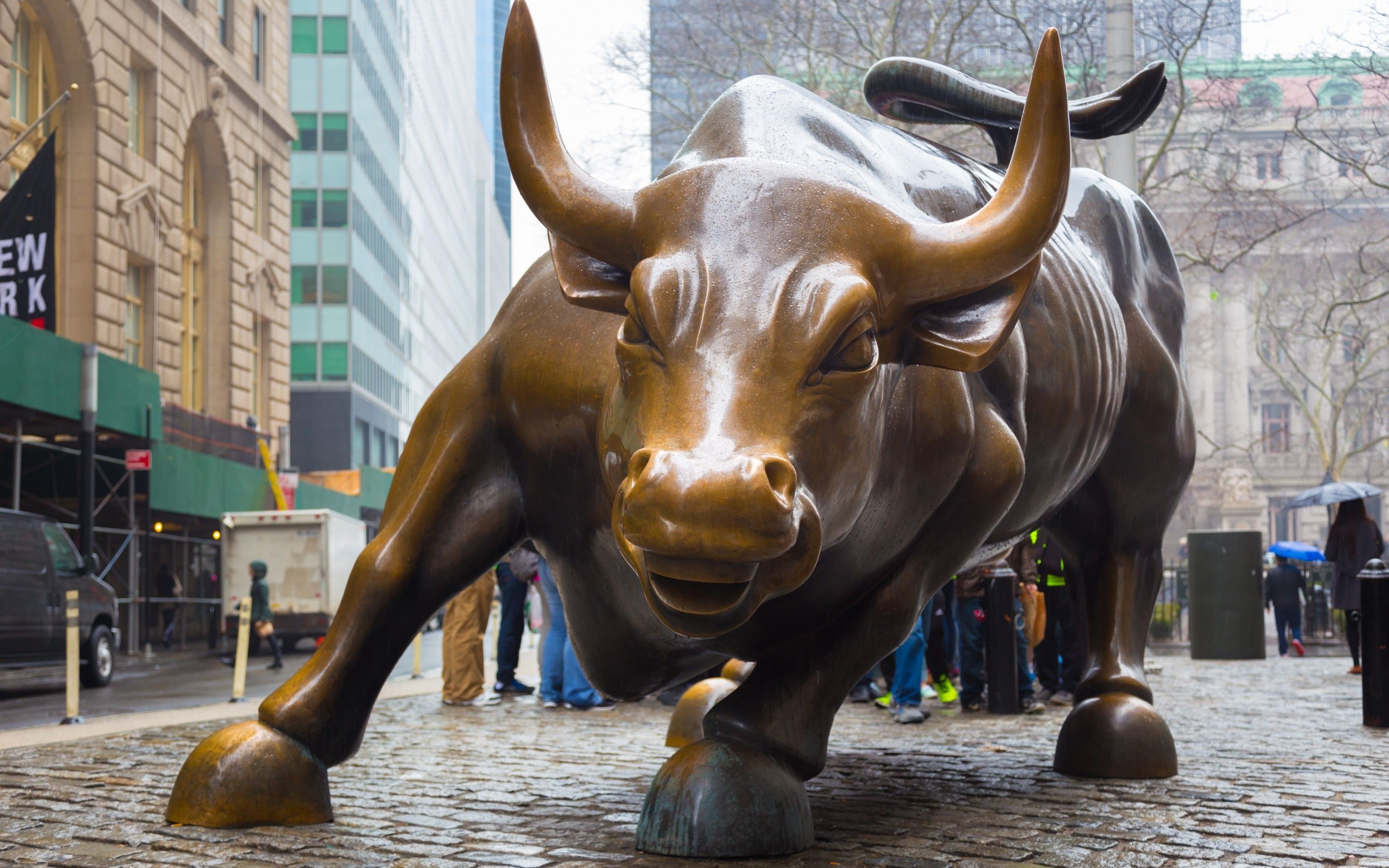 Wall Street Bull Wallpaper Free Wall Street Bull Background