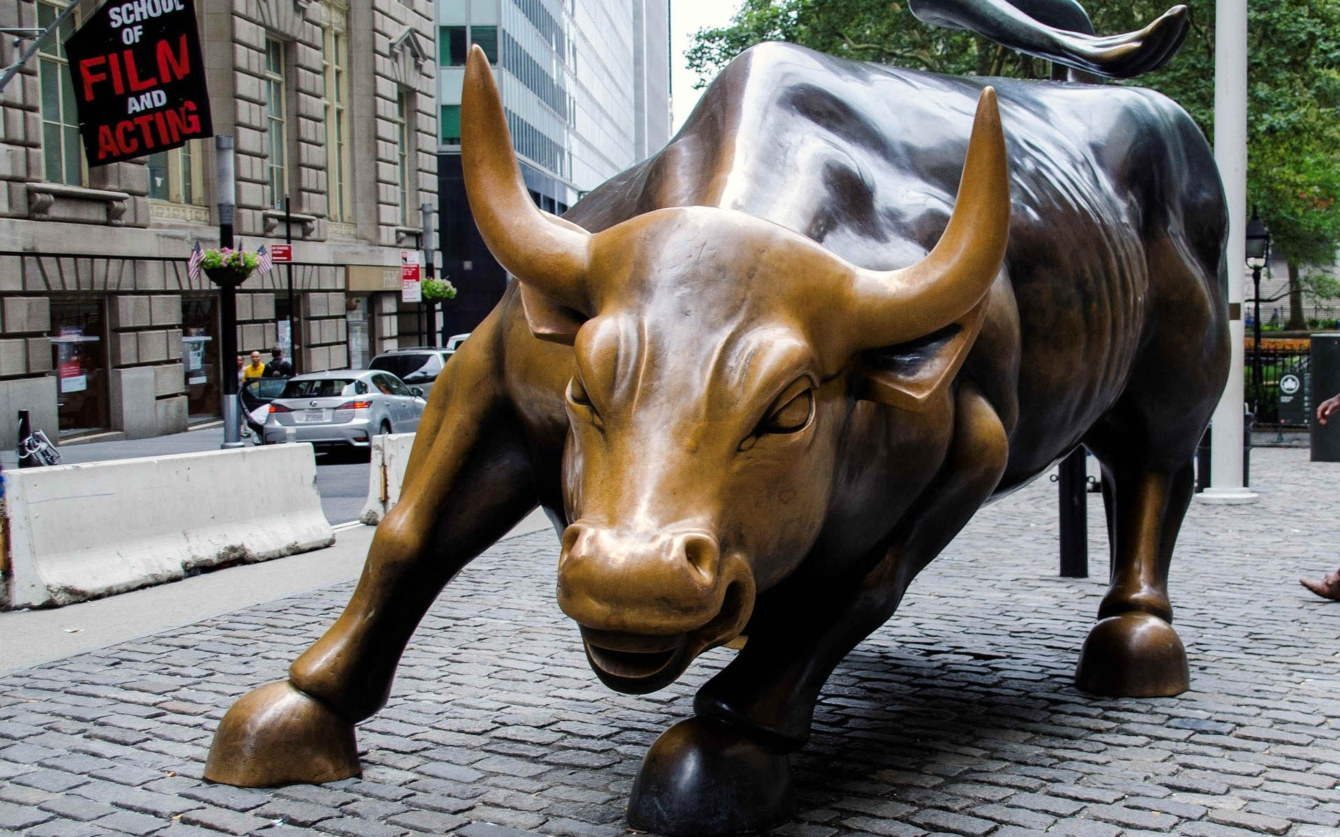 Wall Street Bull Bull Wallpaper & Background Download