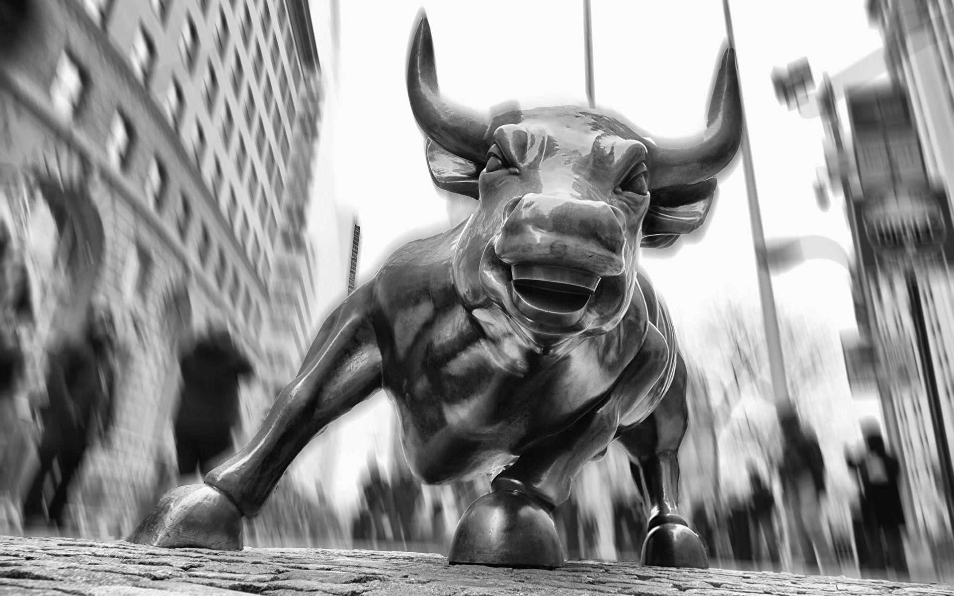 image New York City Bulls Wall Street Cities Data Src Bull Wall Street HD Wallpaper