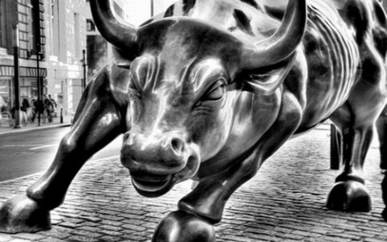 Wall Street Bull Desktop Wallpaper .itl.cat