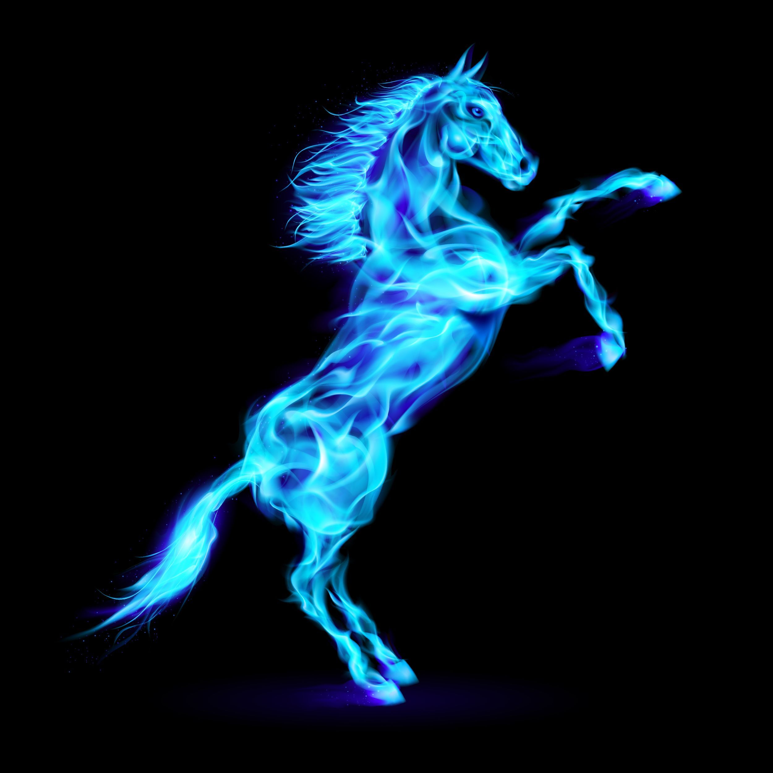 PHOTO: DVARG. Fire horse, Mythical creatures art, Horse wallpaper