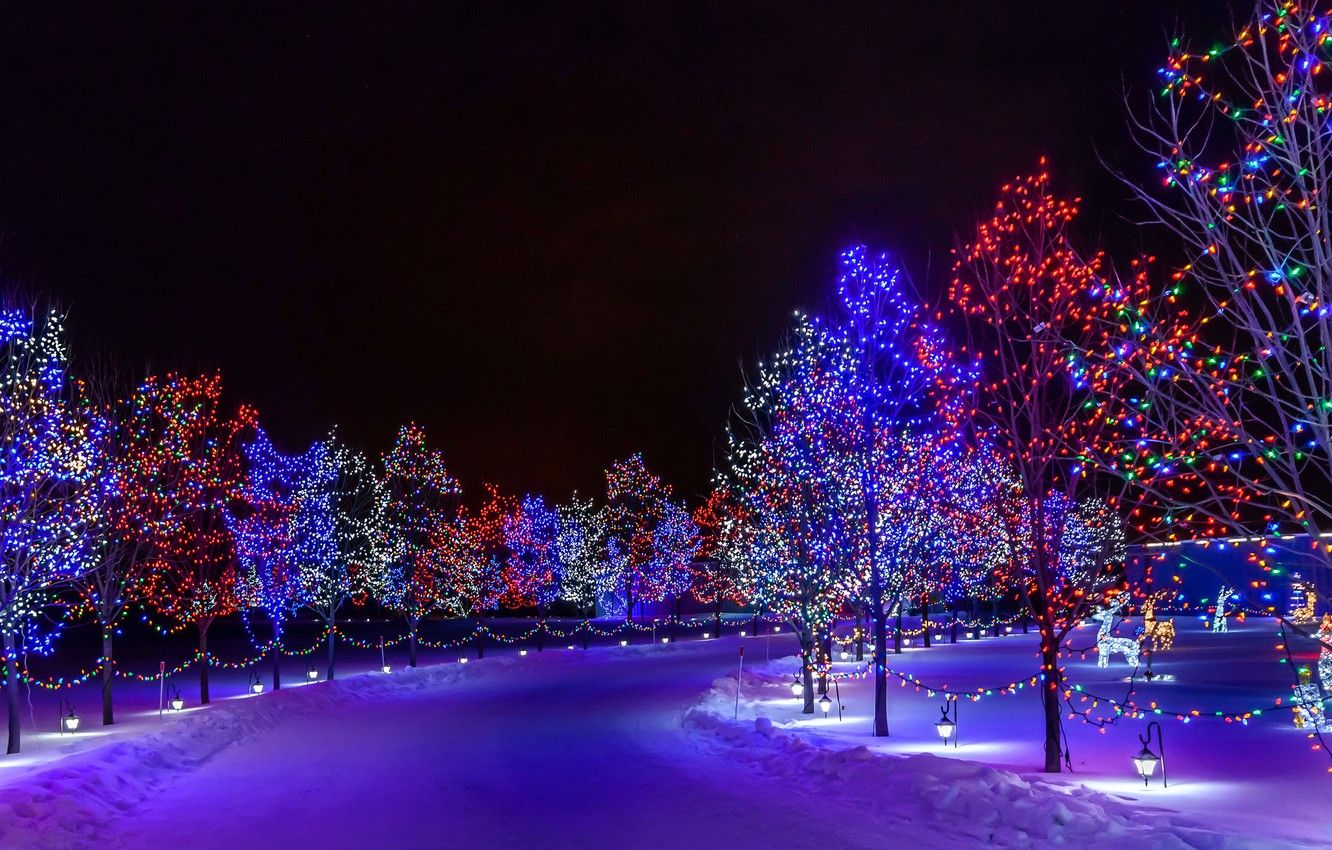 Wallpaper winter, road, snow, trees, night, the city, Park, holiday, New Year, illumination image for desktop, section праздники