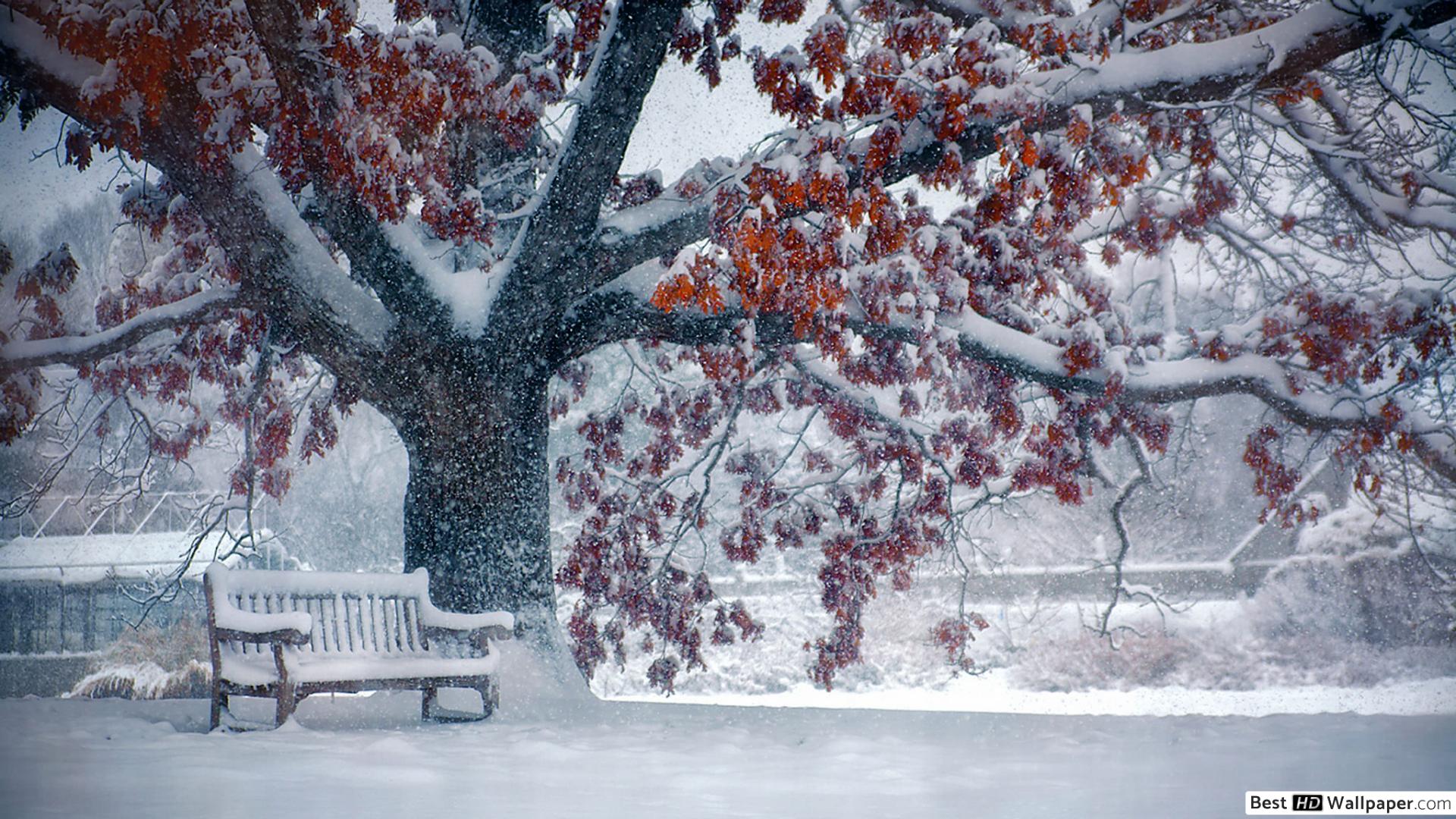 Park Bench in Winter HD wallpaper download