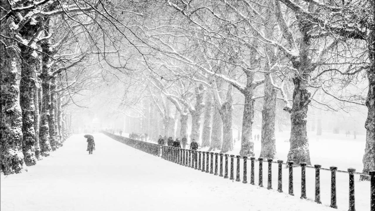 Desktop Wallpaper Black And White Christmas Park Wallpaper