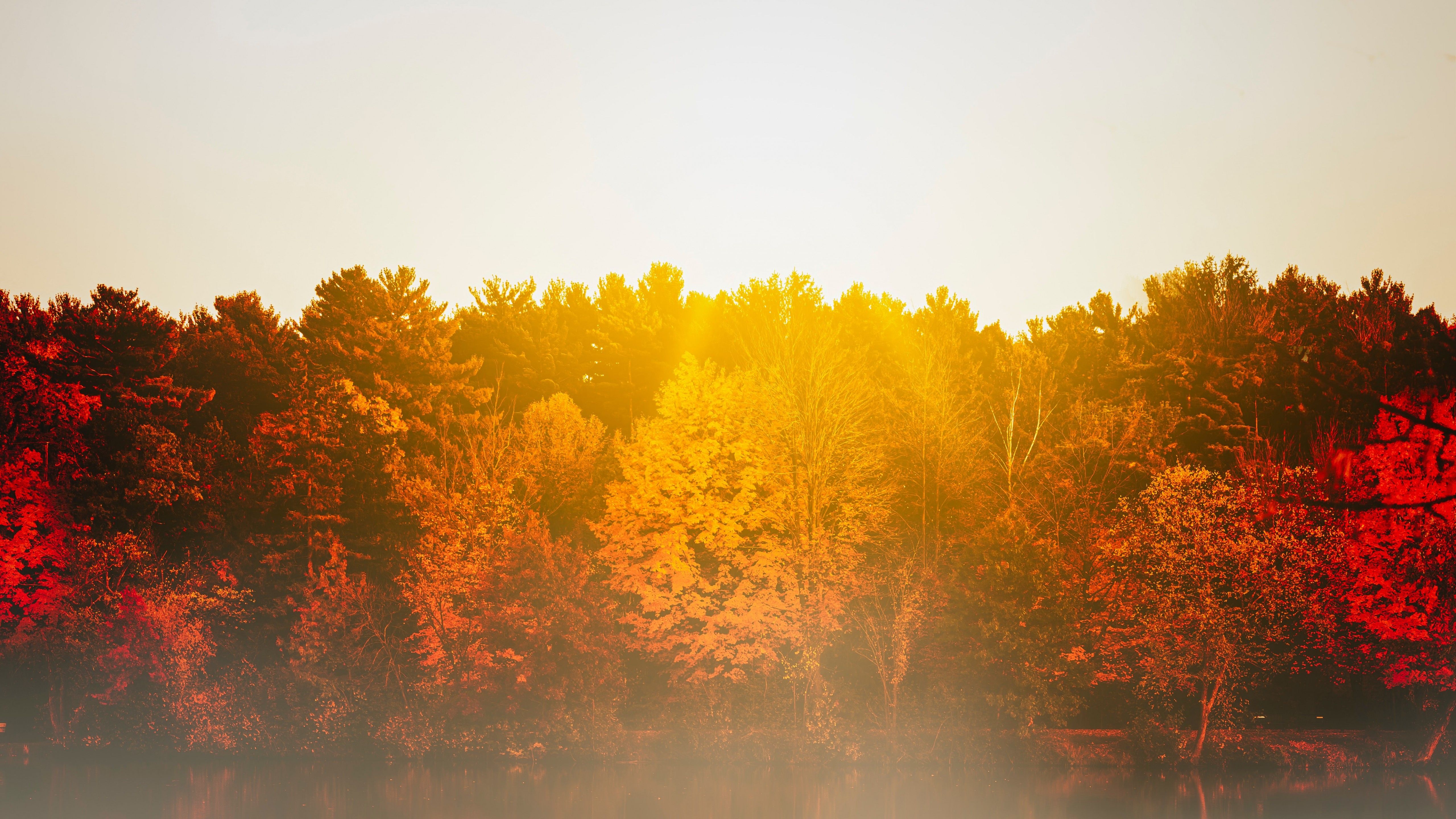 Autumn trees 4K Wallpaper, Body of Water, Sunflare, Sunrise, Reflection, Lake, Morning, Fog, 5K, 8K, Nature