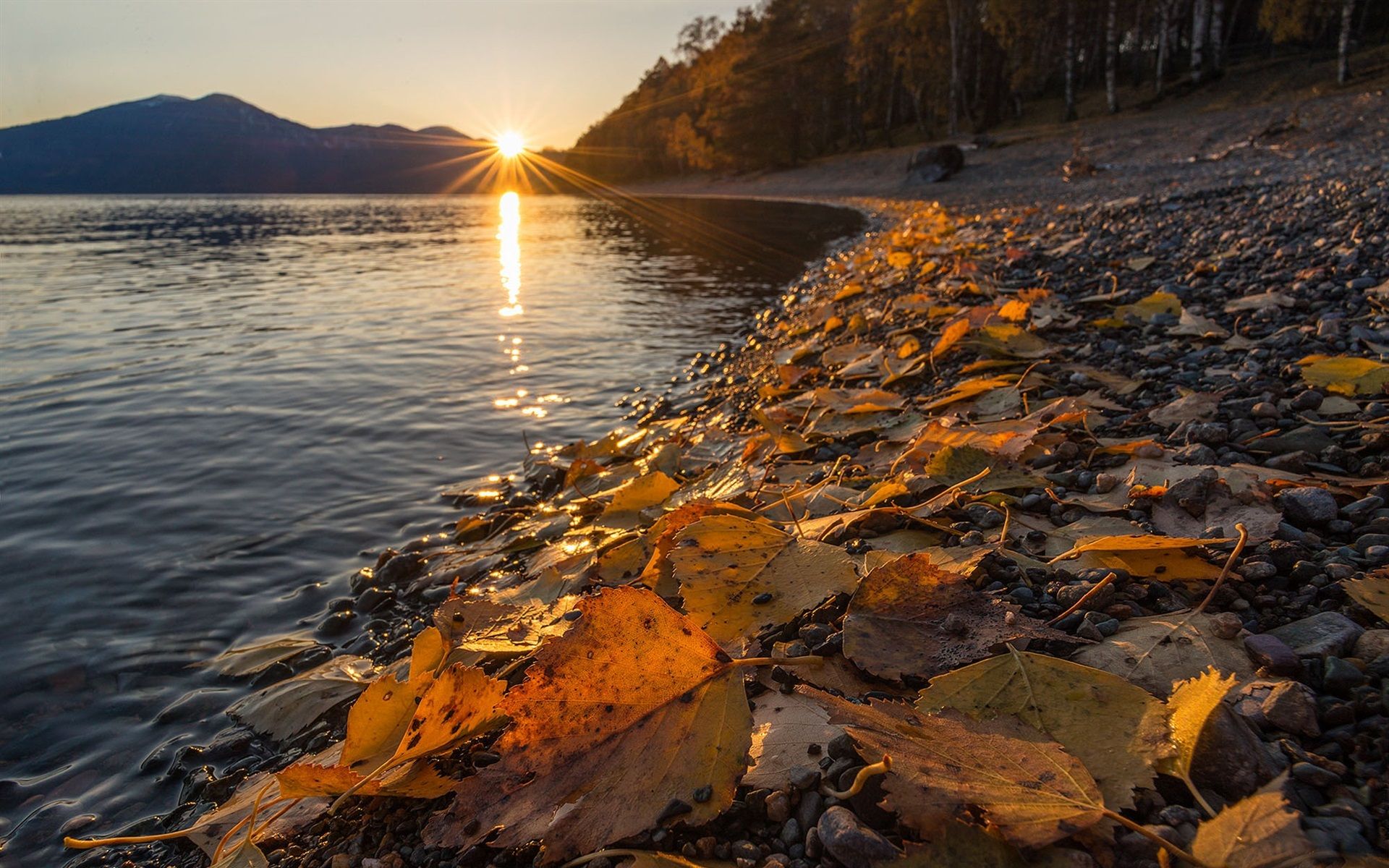 Wallpaper Altai Nature Reserve, Lake Teletskoye, yellow leaves, autumn, sunset, Russia 1920x1200 HD Picture, Image