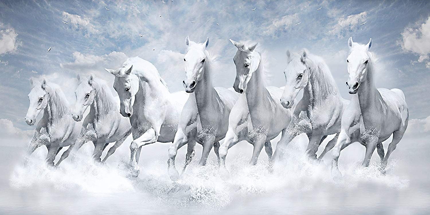 Horse Full HD Wallpaper 1. Horse wallpaper, Horse wall art canvases, White horse painting