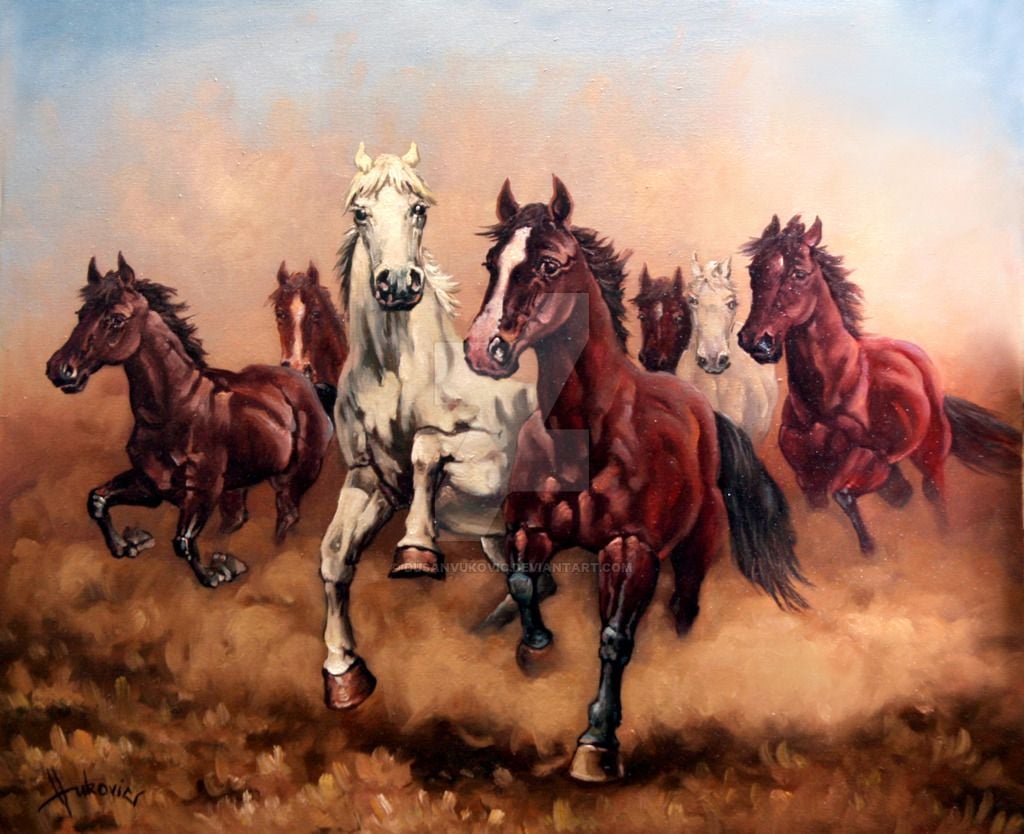 Beautiful Seven Horses 7 White Horse Wallpaper HD Free Download image