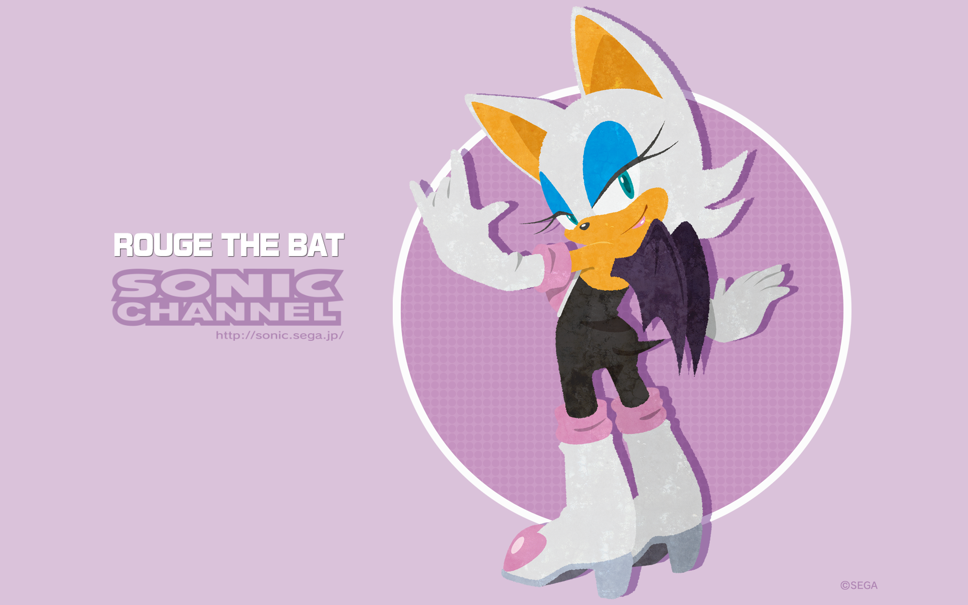 Sonic X Rouge The Bat Wallpapers Wallpaper Cave 