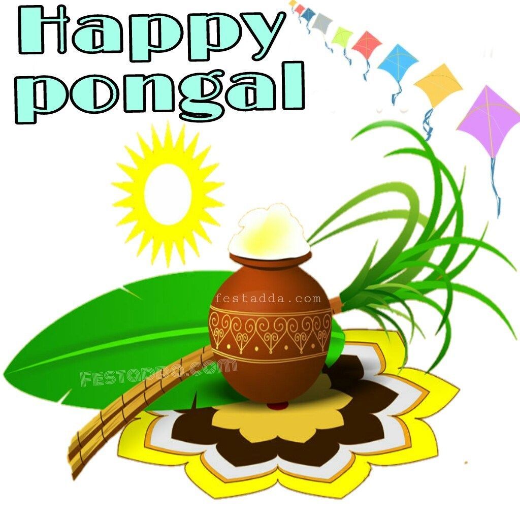 Happy Pongal Image HD. Happy pongal wishes, Happy pongal, Wishes image