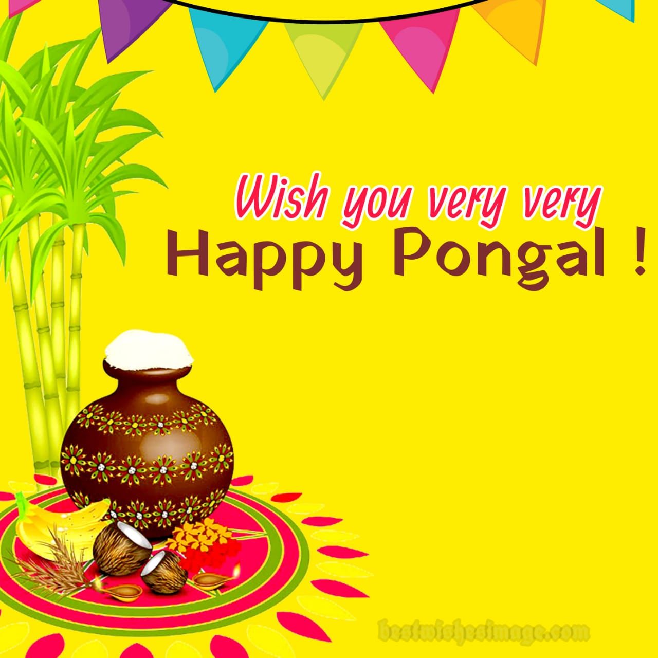 Happy Pongal image 2021, Image, Messages and quotes shared on your social media wishes image