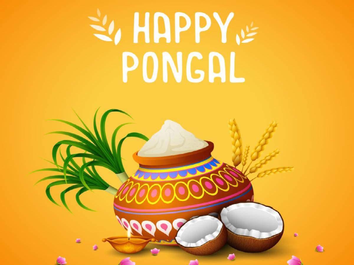 Happy Pongal 2021 Wallpapers - Wallpaper Cave
