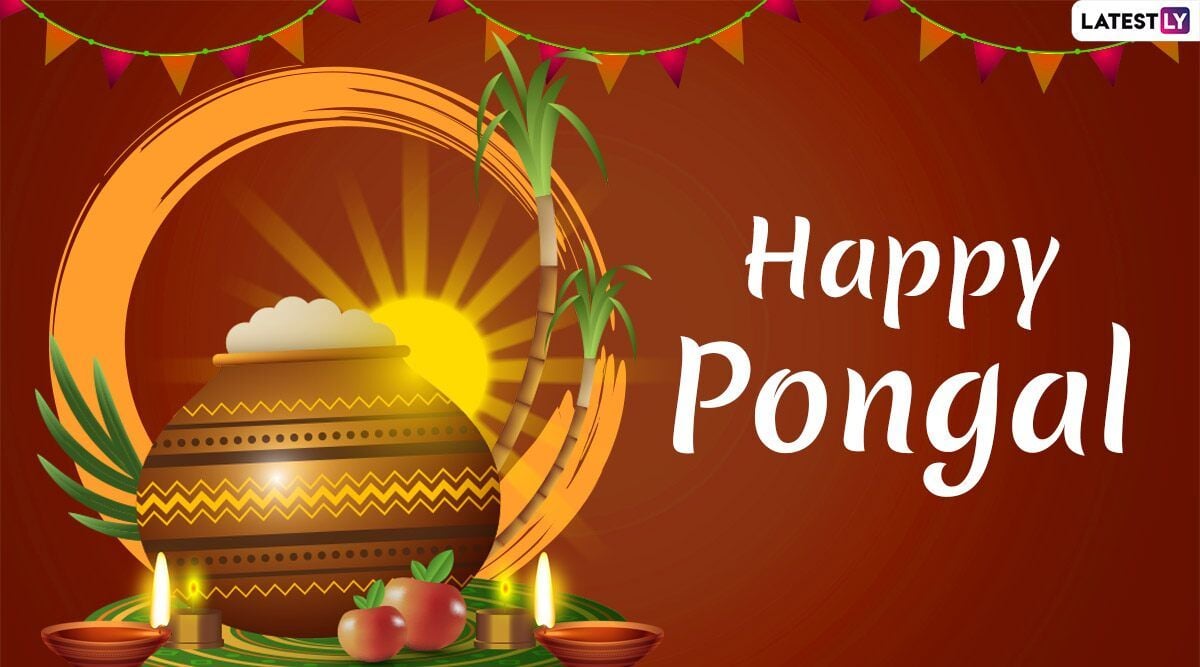 Happy Pongal 2020 Wishes: WhatsApp Stickers, Thai Pongal GIF Image, Facebook Greetings, Quotes, SMS and Messages to Celebrate This Festival of Tamil Nadu