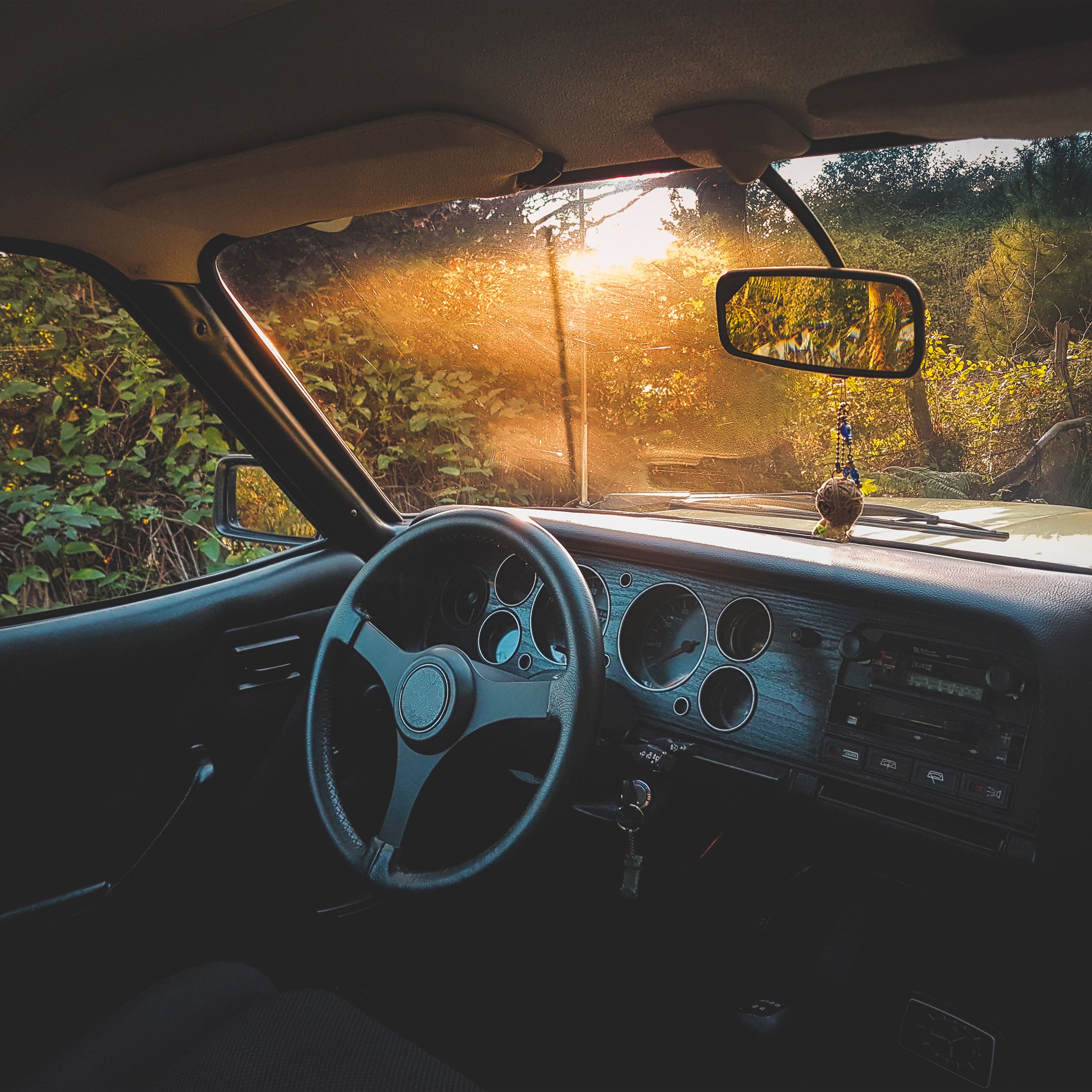 Car Drive Forest Light Nature Wallpaper