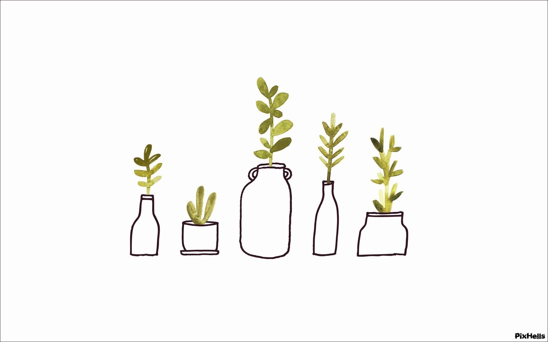 Tumblr Plants Wallpaper. Macbook air, Arkaplan tasarımları, Instagram panoları