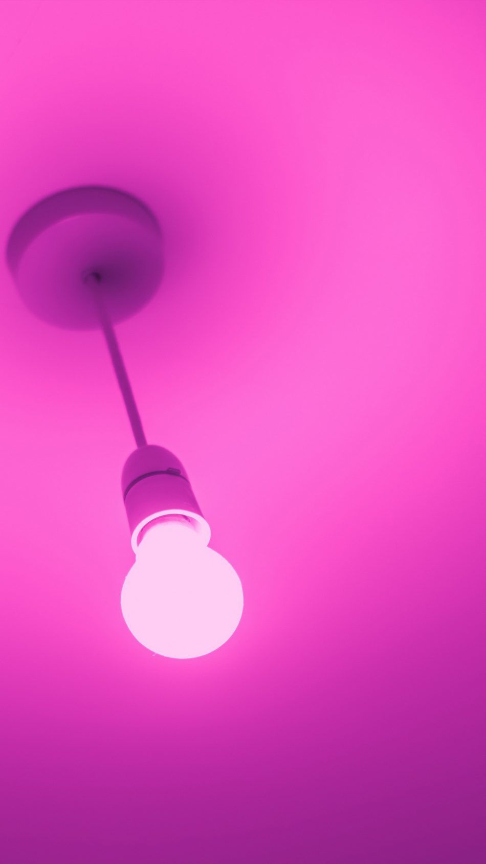 Pink Light Bulb 4k & Ultra HD Mobile Wallpaper Wallpaper 4k Phone Wallpaper & Background Download