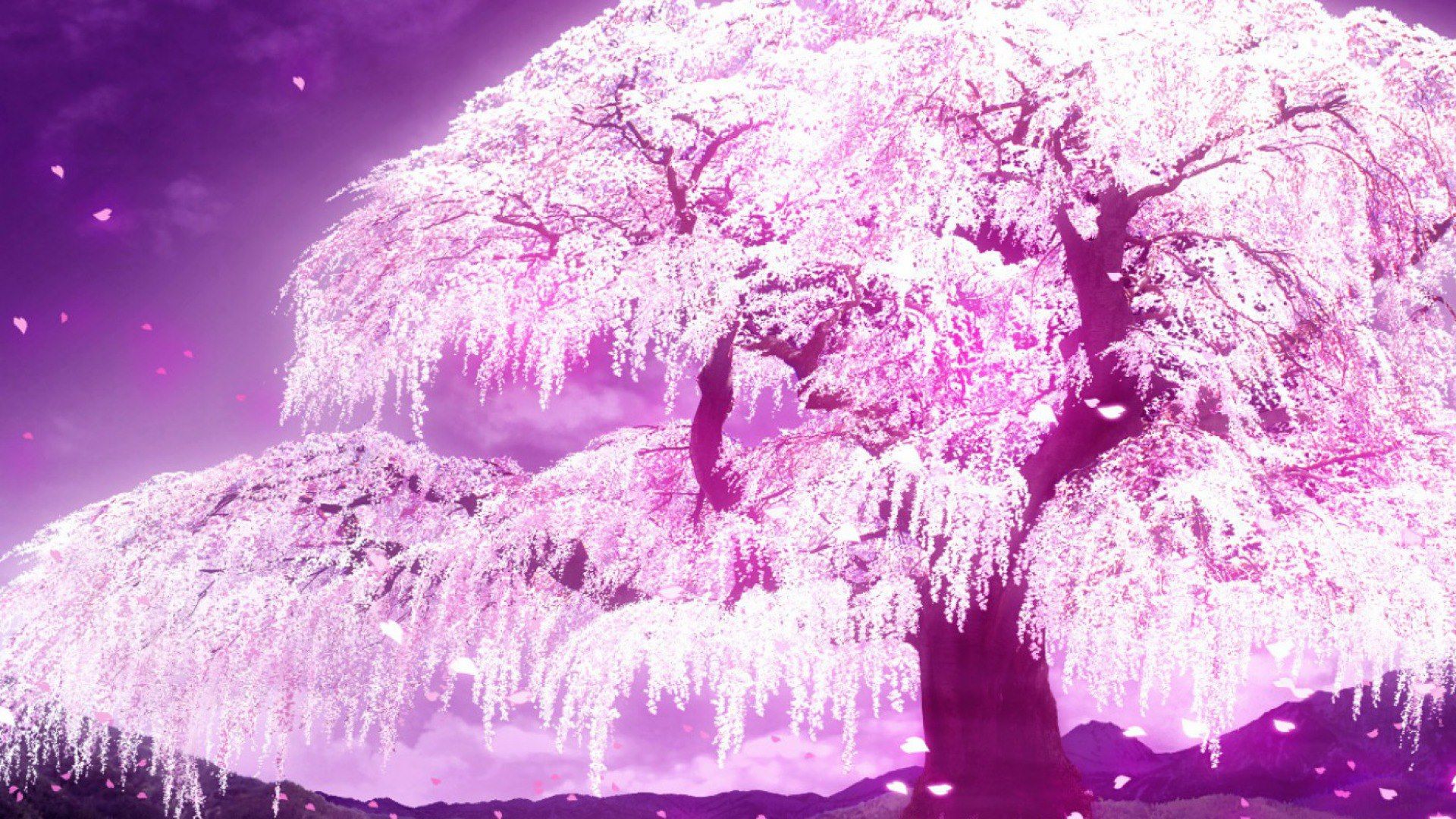 Anime Trees Pink Wallpapers - Wallpaper Cave