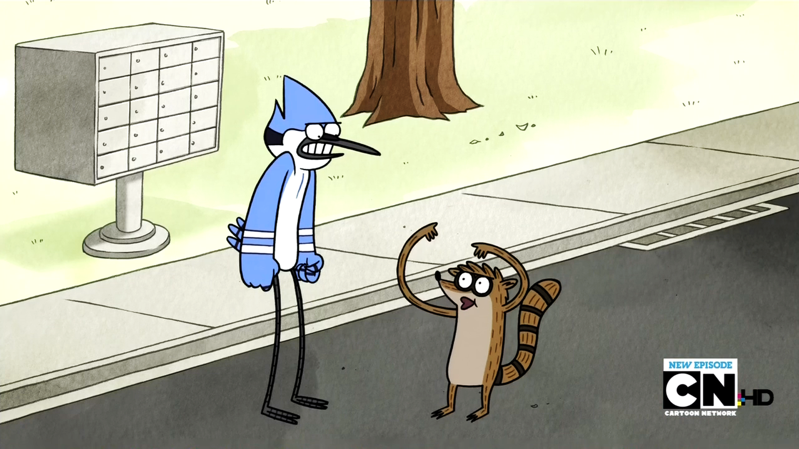 Free download Regular Show Mordecai and Rigby HD Cartoon Wallpapers 1600x90...