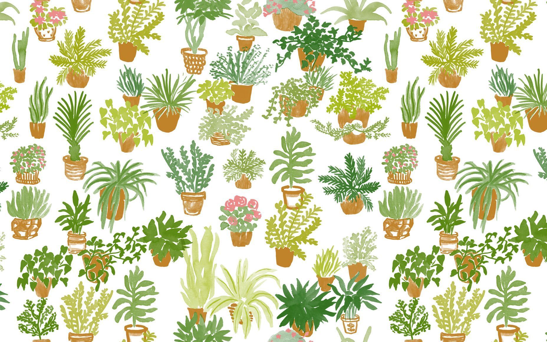 Aesthetic Desktop Plants Wallpapers   Wallpaper Cave