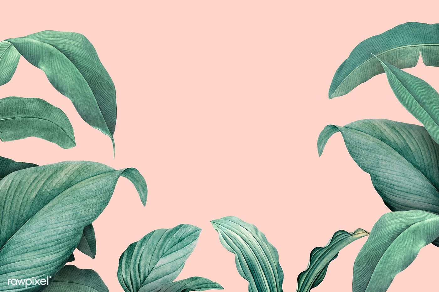 Hand drawn tropical leaves on a pastel pink background. Desktop wallpaper art, Tropical leaves, Aesthetic desktop wallpaper
