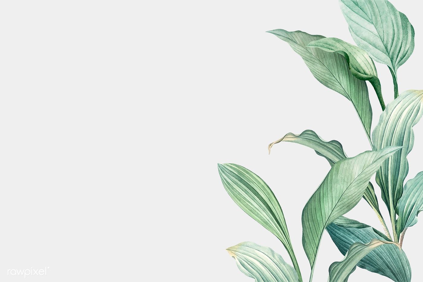 Download premium vector of Hand drawn tropical leaves on a white. Watercolor desktop wallpaper, Desktop wallpaper art, Aesthetic desktop wallpaper