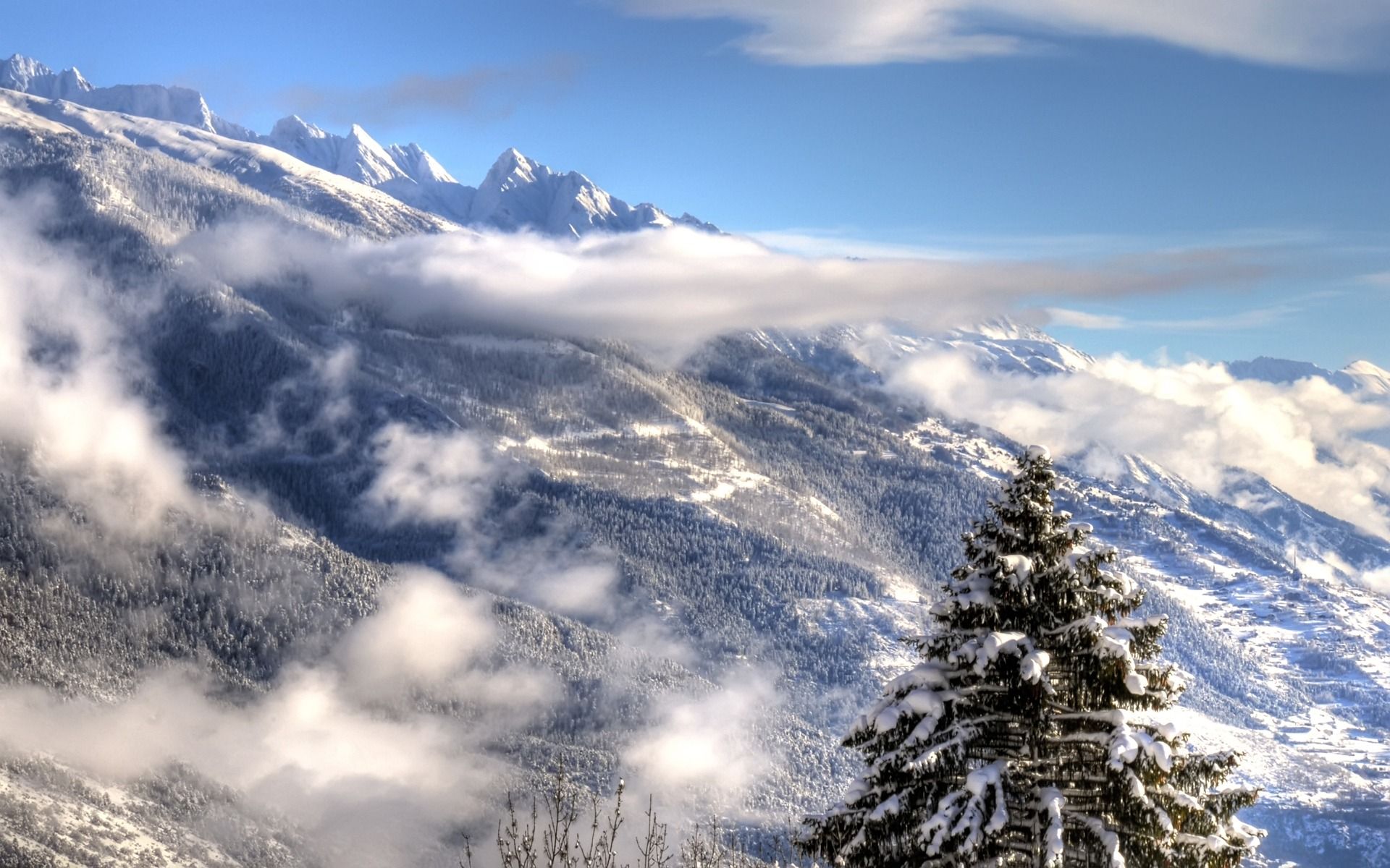 Winter Morning Wallpaper Winter Nature Wallpaper in jpg format for free download